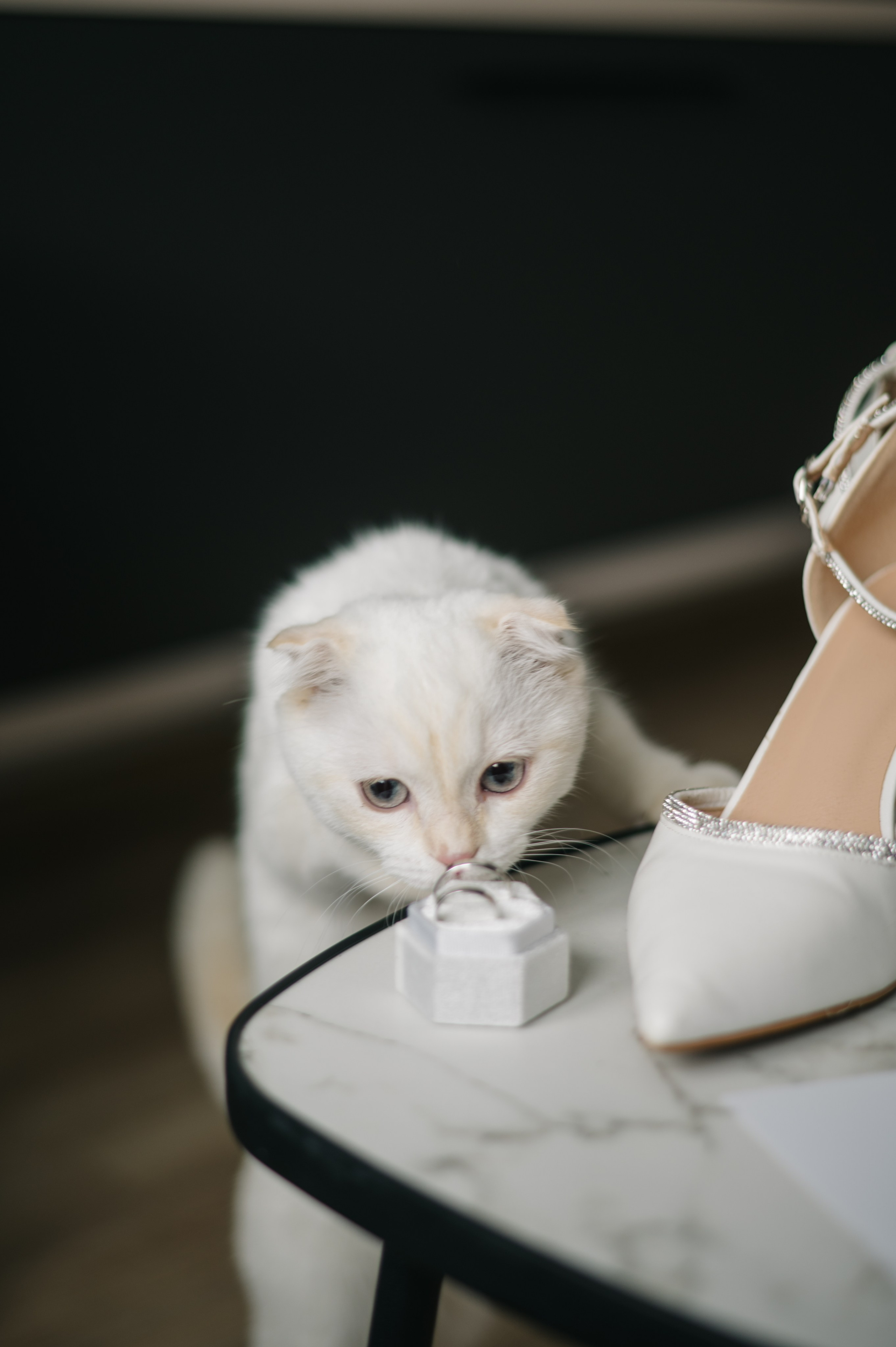 Алёна и Данил. Фотограф Архангельск