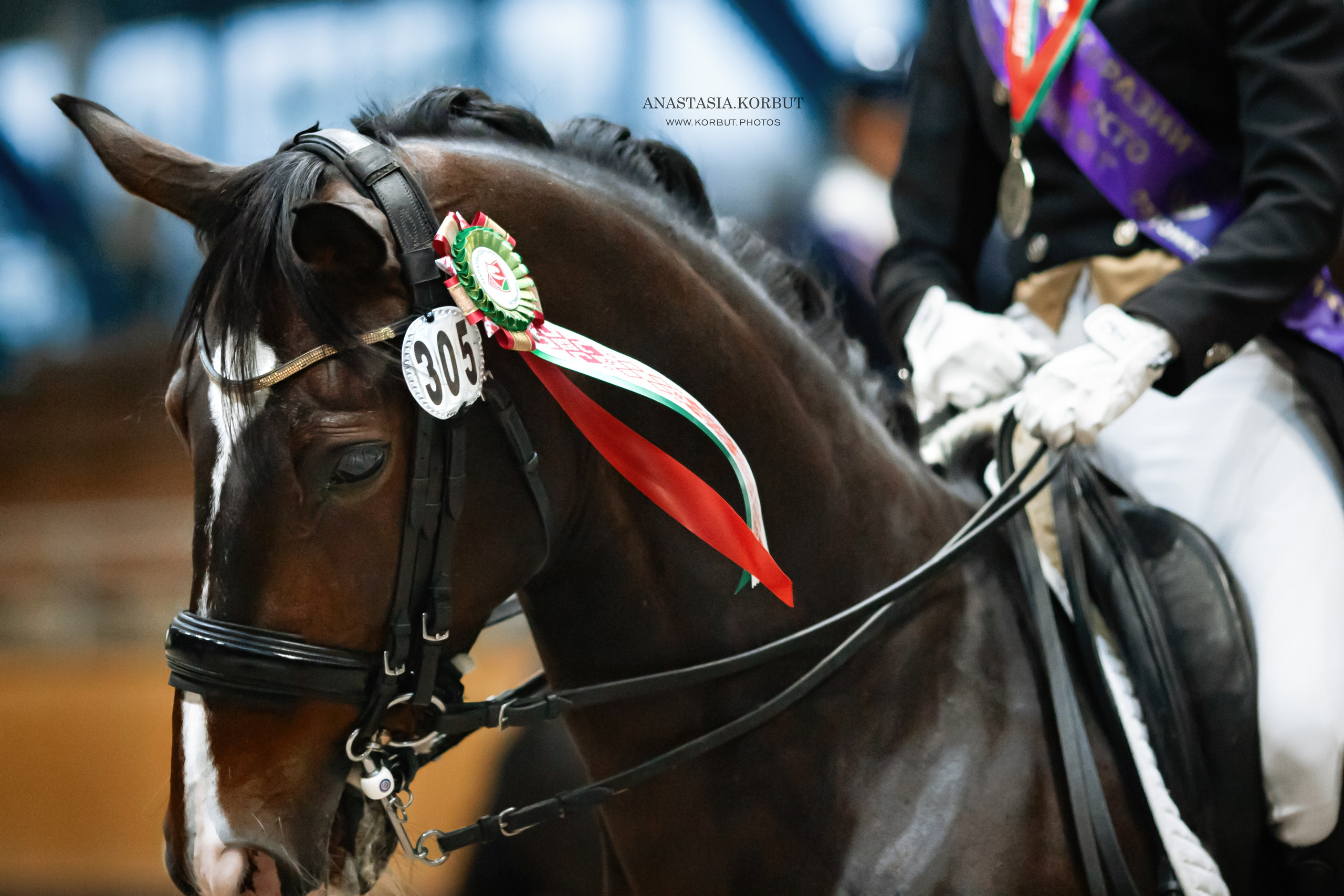 Звезды Евразии MAXIMA MASTERS. Арт фотограф в Минске Анастасия Корбут