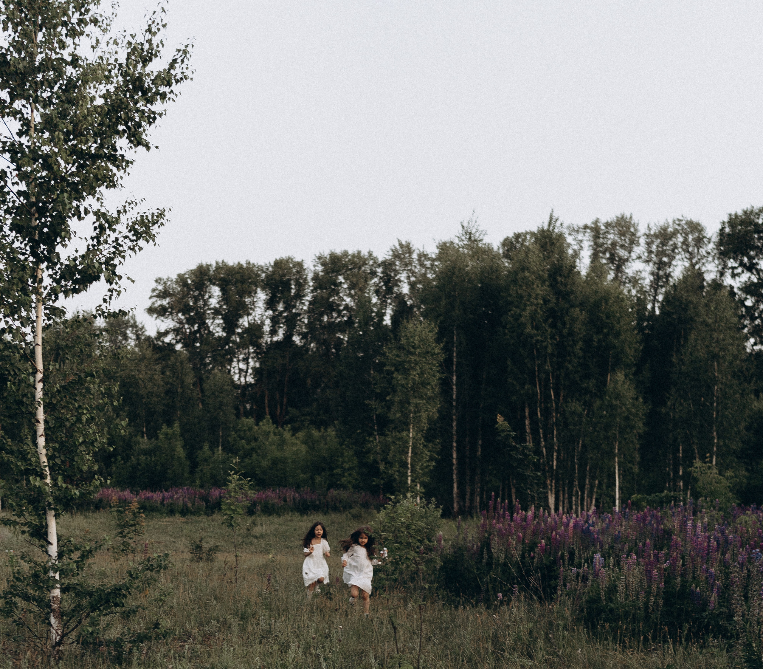 А на земле опять цветут люпины. Семейный и домашний фотограф в Уфе Ирина Гарасюта