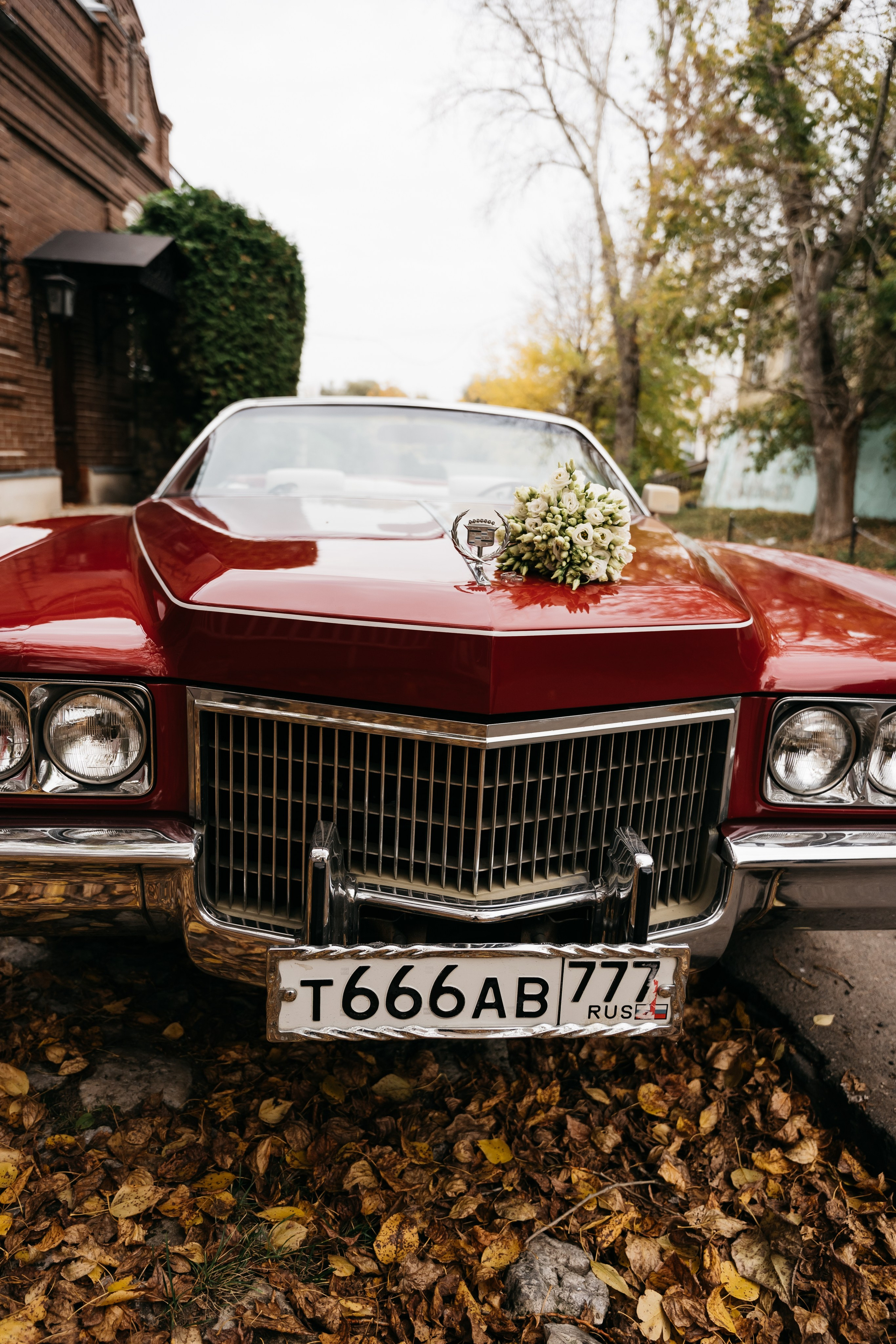 S&N. Алёна Хомич. Свадебный и семейный фотограф Коломна, Москва