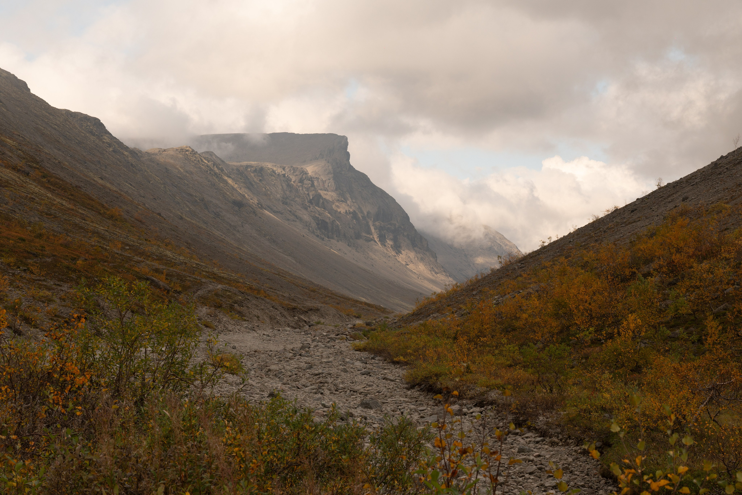 Золотая осень в Хибинах. Daria wanderer photography