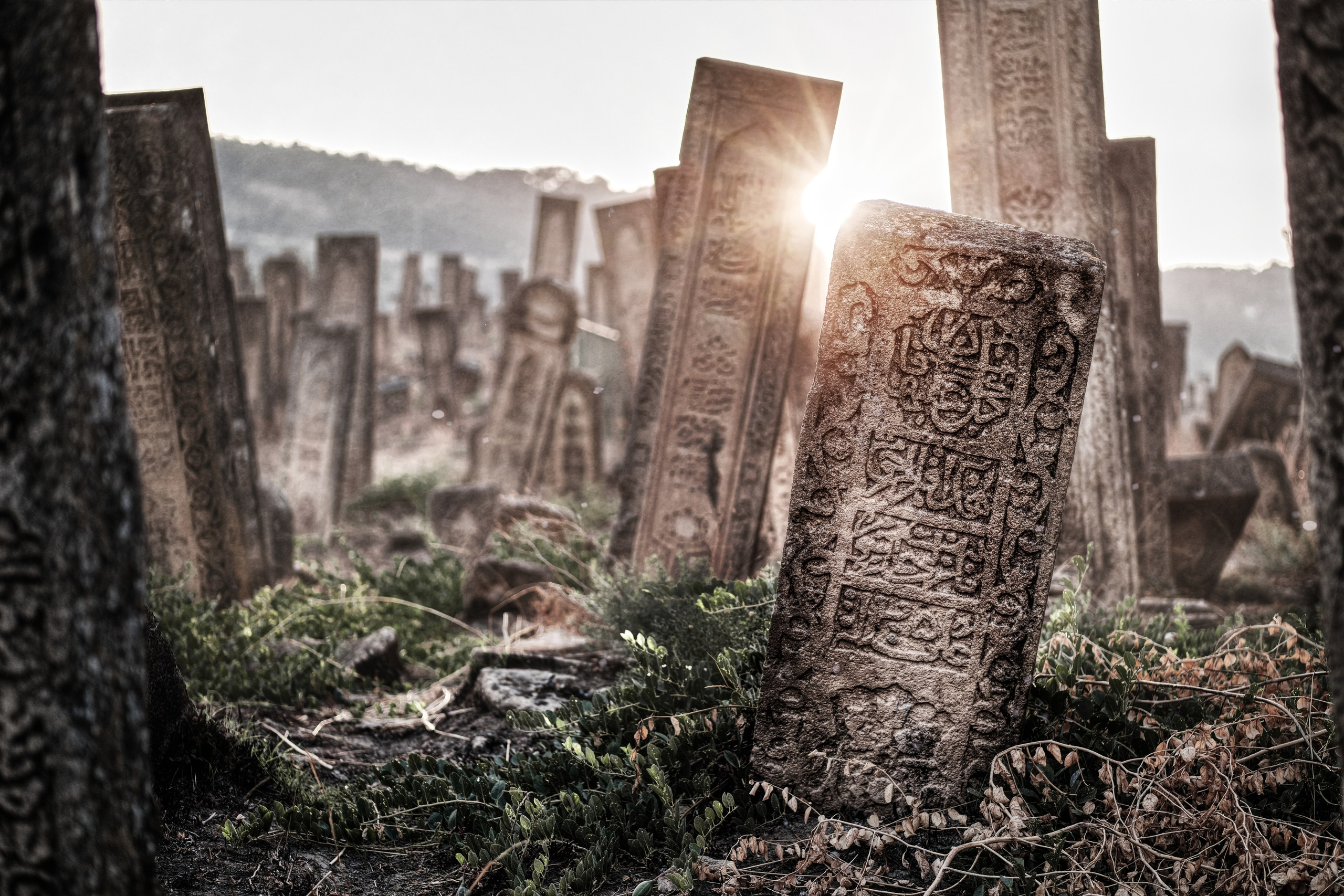 Места. Максим Завгаров