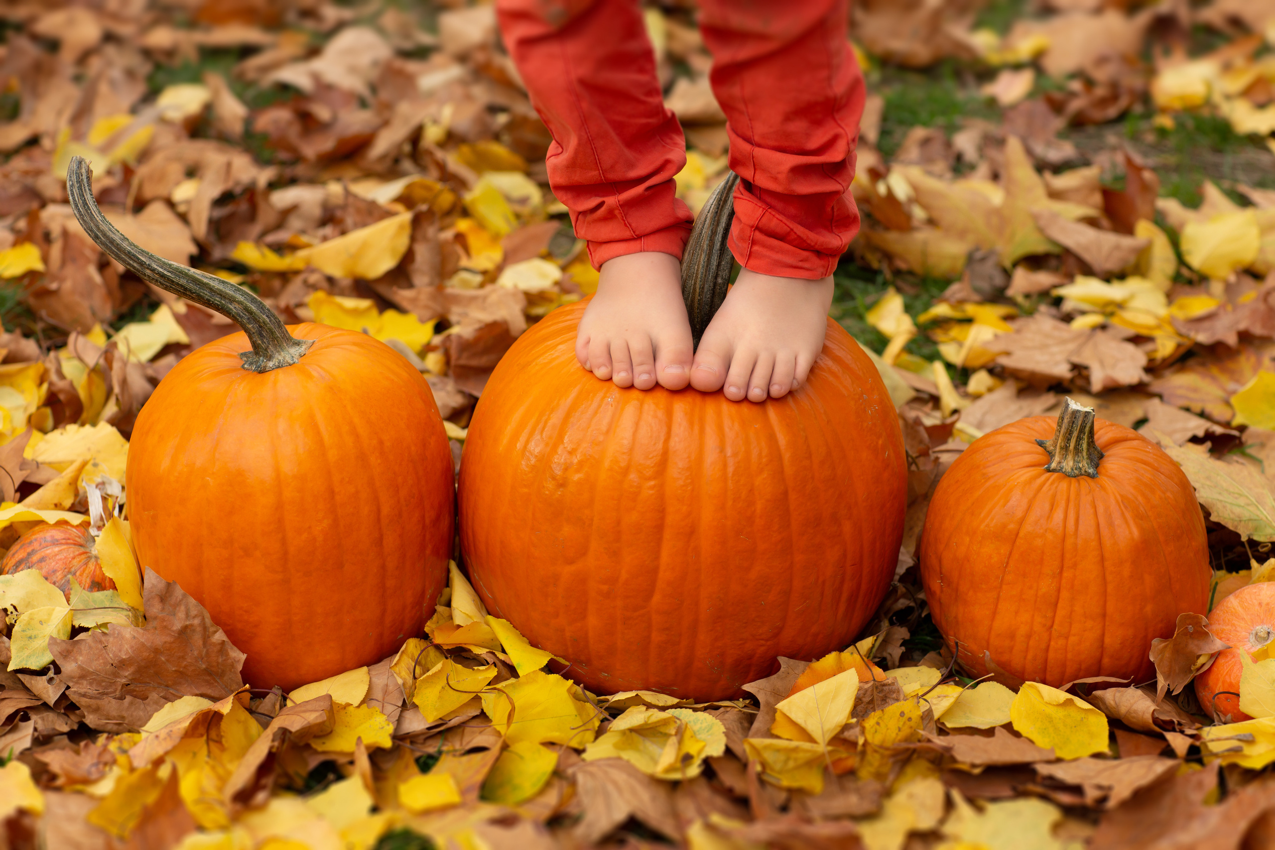 Дети. Фотограф Анапа, Краснодарский Край, Крым