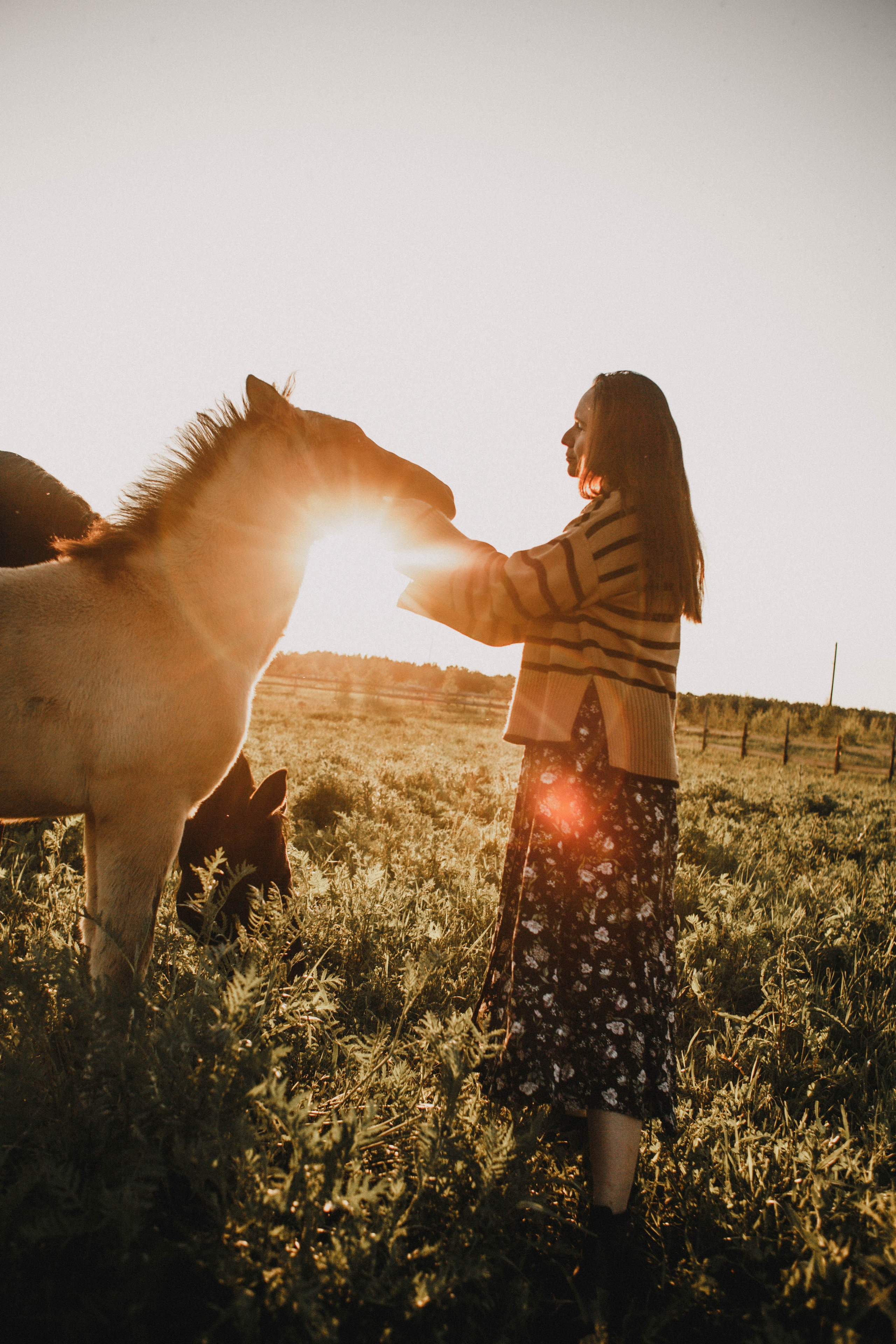 Варвара. Лошади. Закат. Фотограф в Нижнем Новгороде