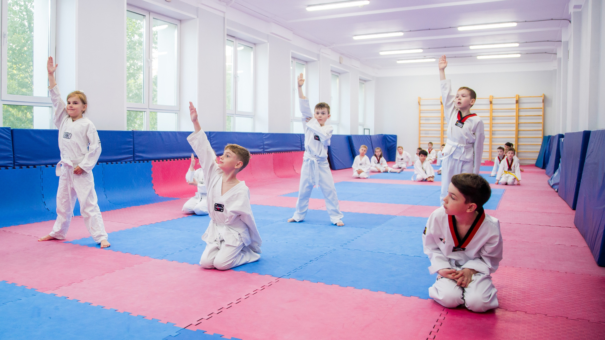 Желтый пояс по тхеквандо. Репортажный фотограф Борис Геер