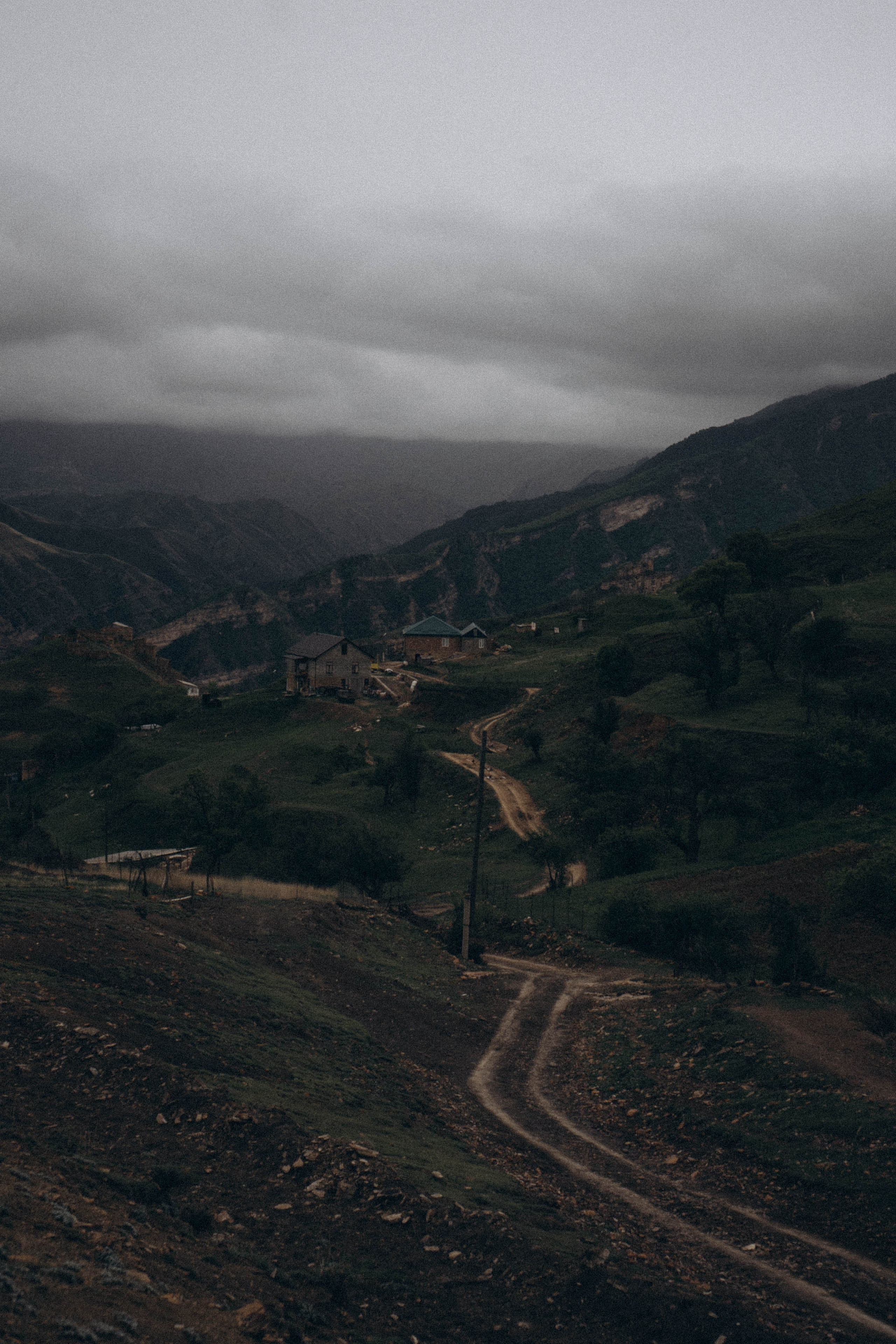 Кавказ. Профессиональный фотограф, Санкт-Петербург — Виктория Богомолова