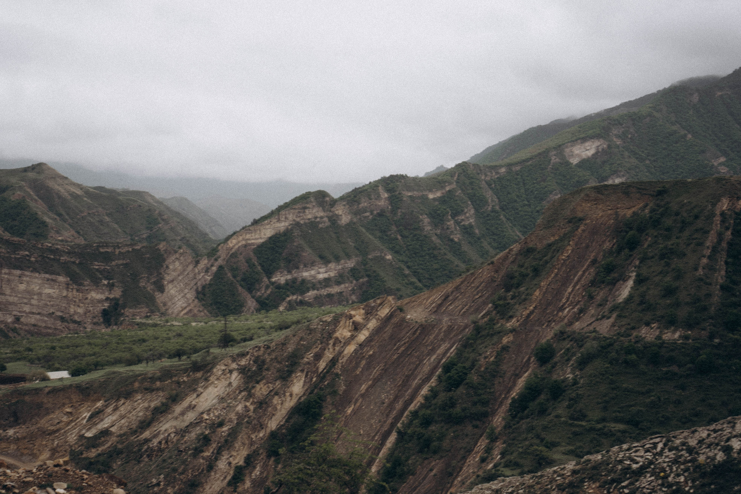 Кавказ. Профессиональный фотограф, Санкт-Петербург — Виктория Богомолова