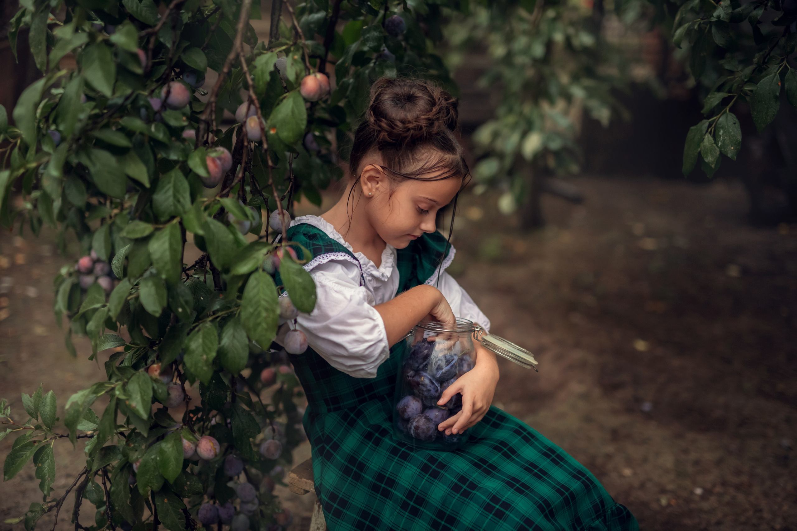 Сливовая история. Семейный и детский фотограф Екатерина Савёлова