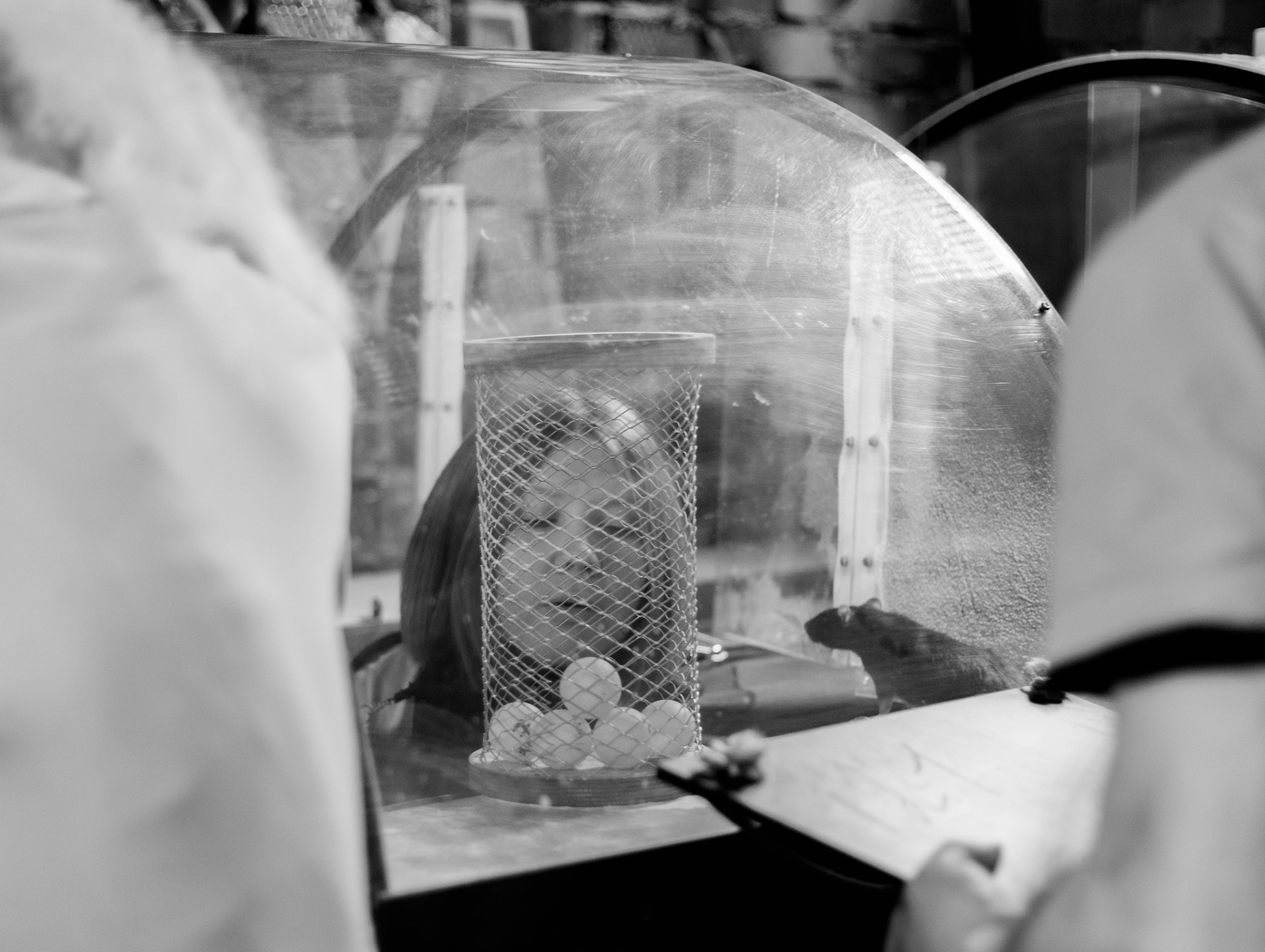 Форт Боярд. Репортажный фотограф в Новосибирске Алена Помазунова