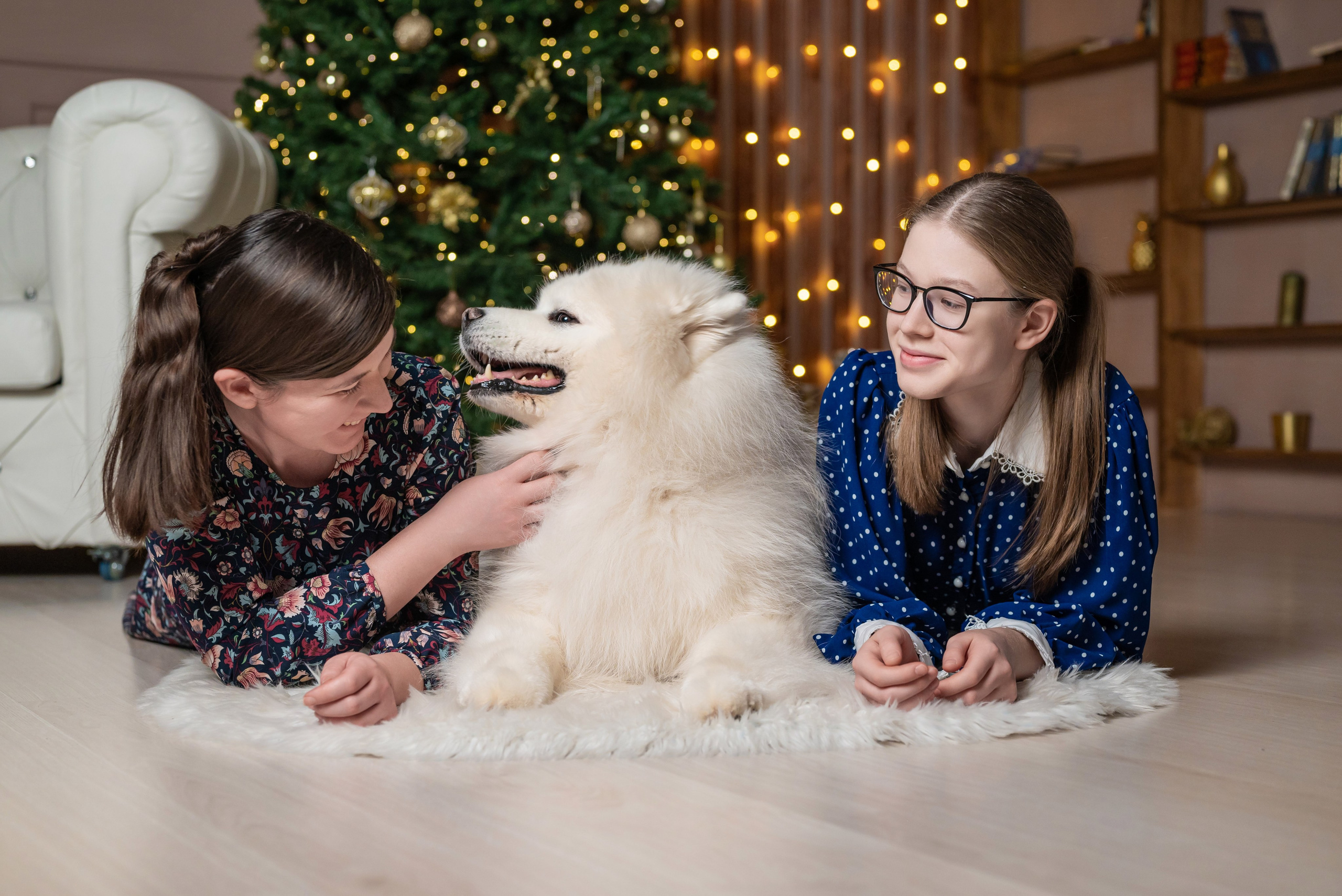 Фотопроект с самоедом 2023 г. Фотограф в городе Салават