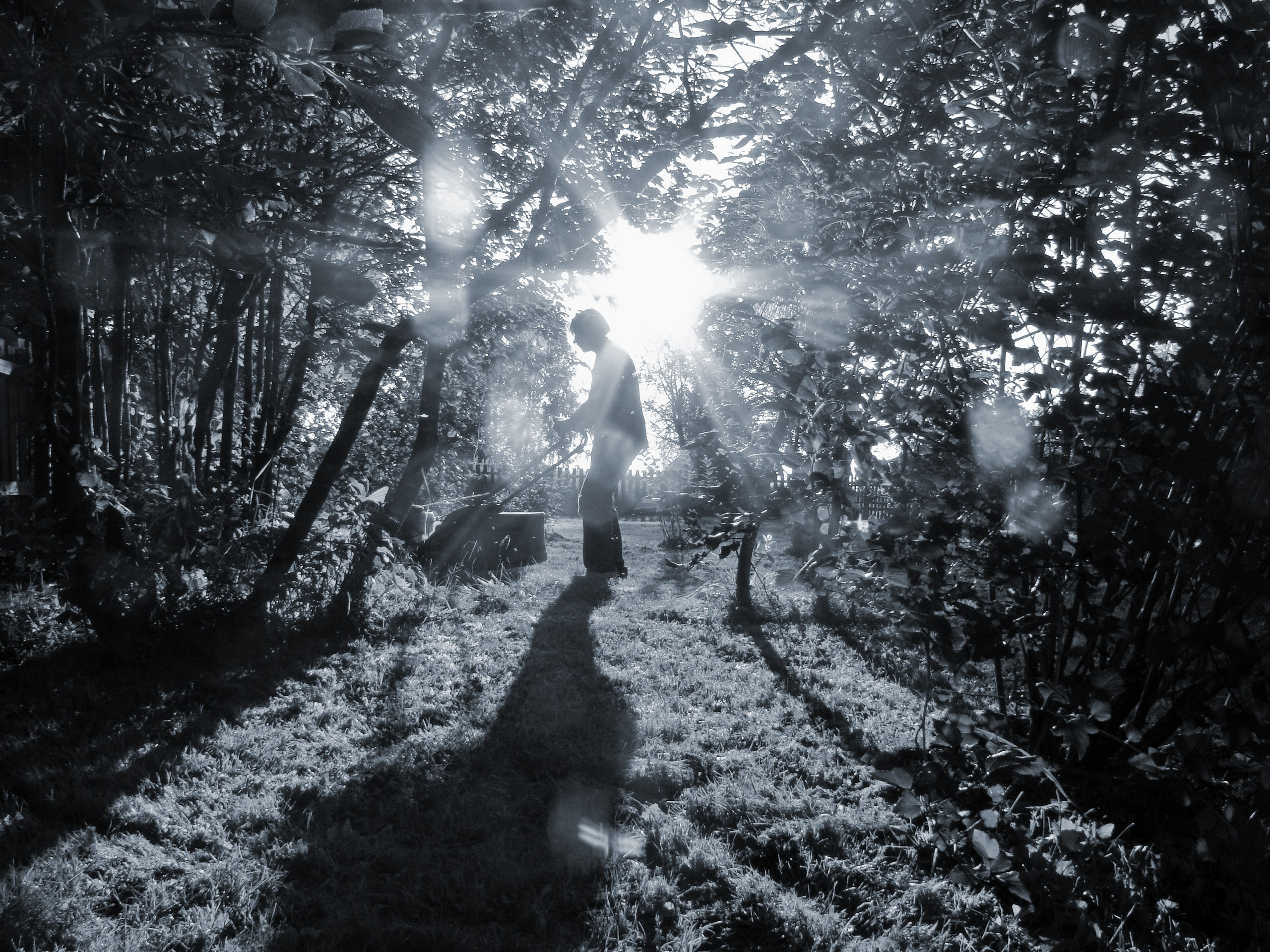 Жанр. Фотограф Лагутин Анатолий