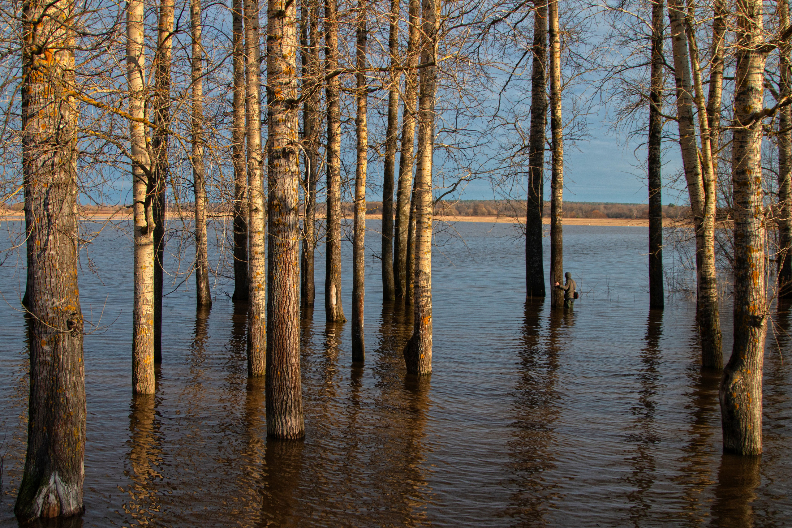 Жанр. Фотограф Лагутин Анатолий