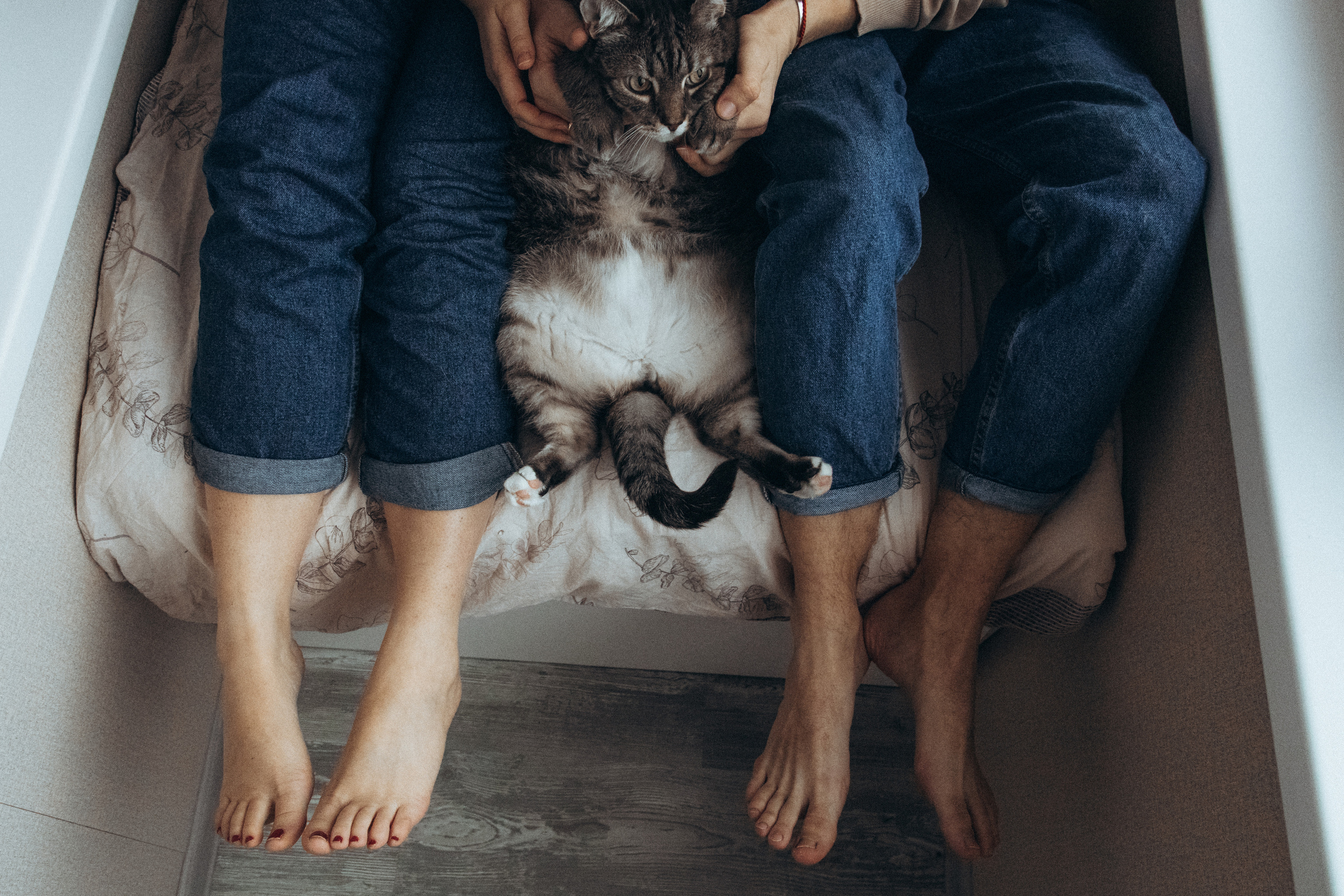 Давай сегодня останемся дома?. Фотограф Москва Алёна Суворова