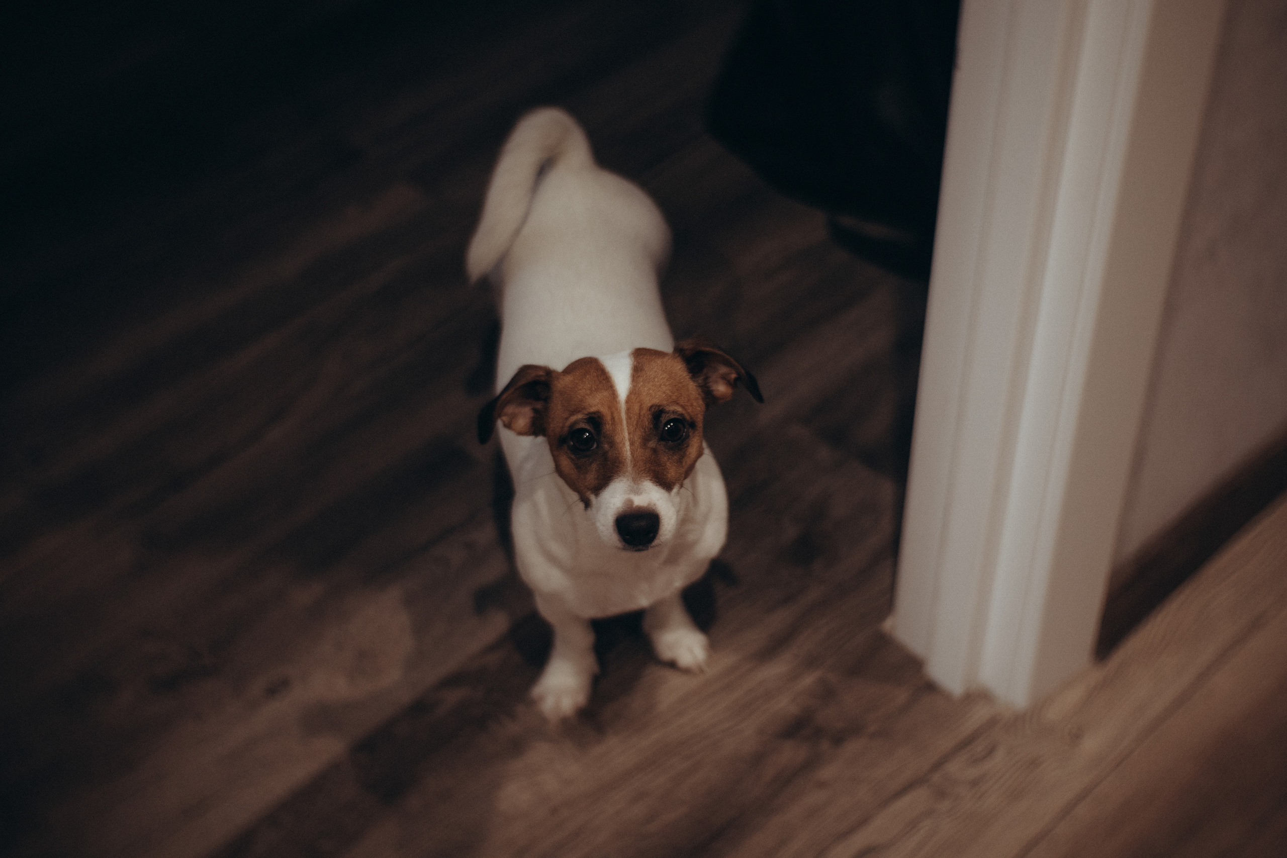 Простые мелочи. Фотограф Москва Алёна Суворова