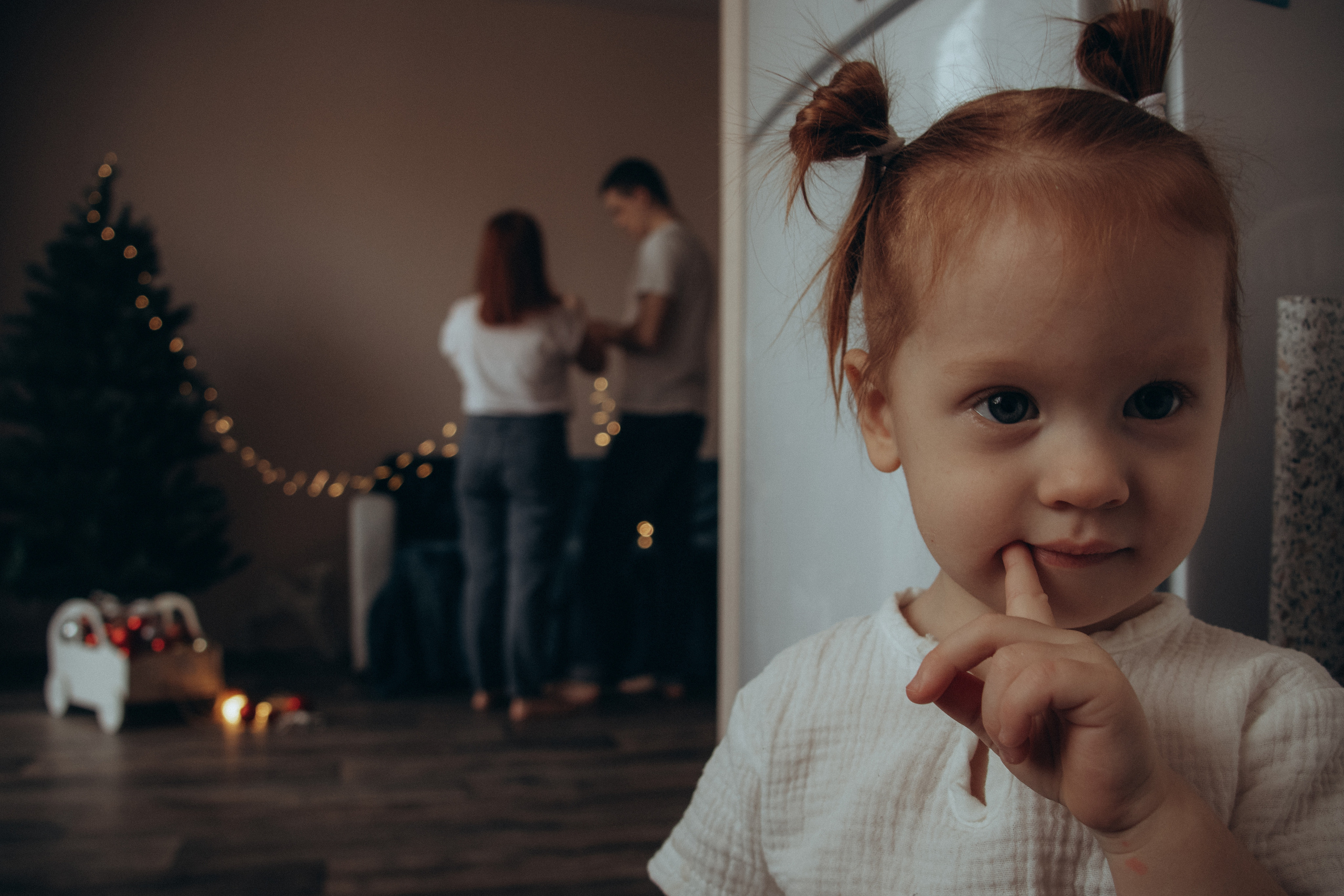 Первый Новый год в своей квартире. Фотограф Москва Алёна Суворова