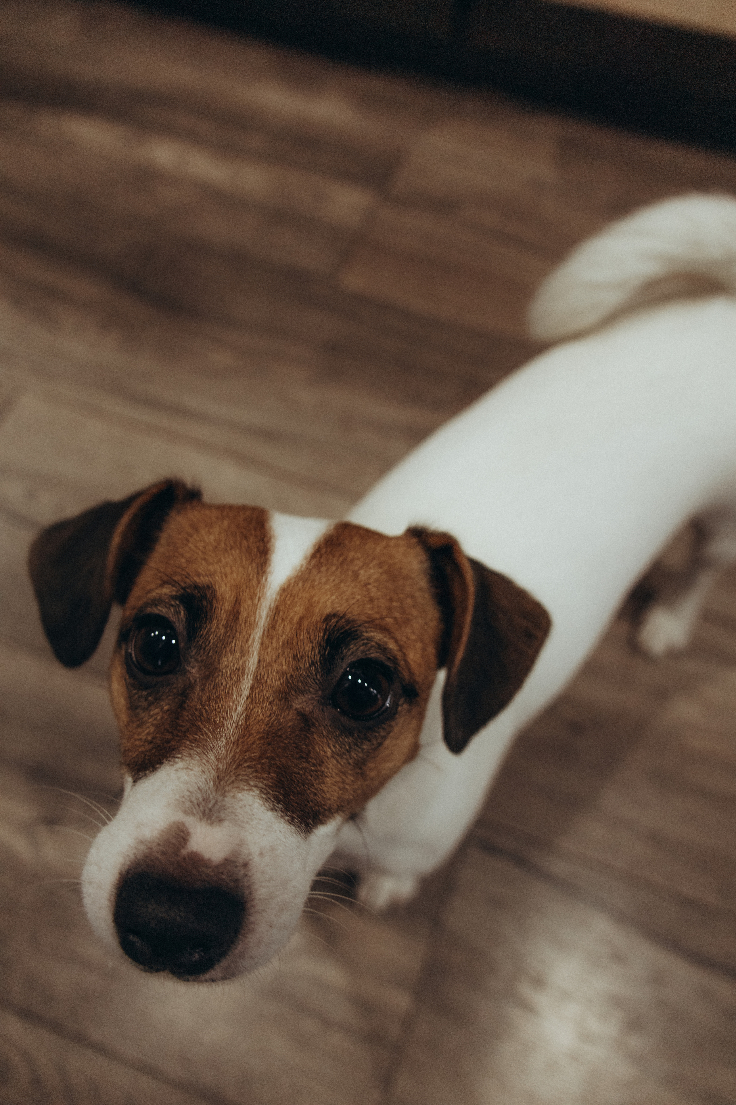 Простые мелочи. Фотограф Москва Алёна Суворова