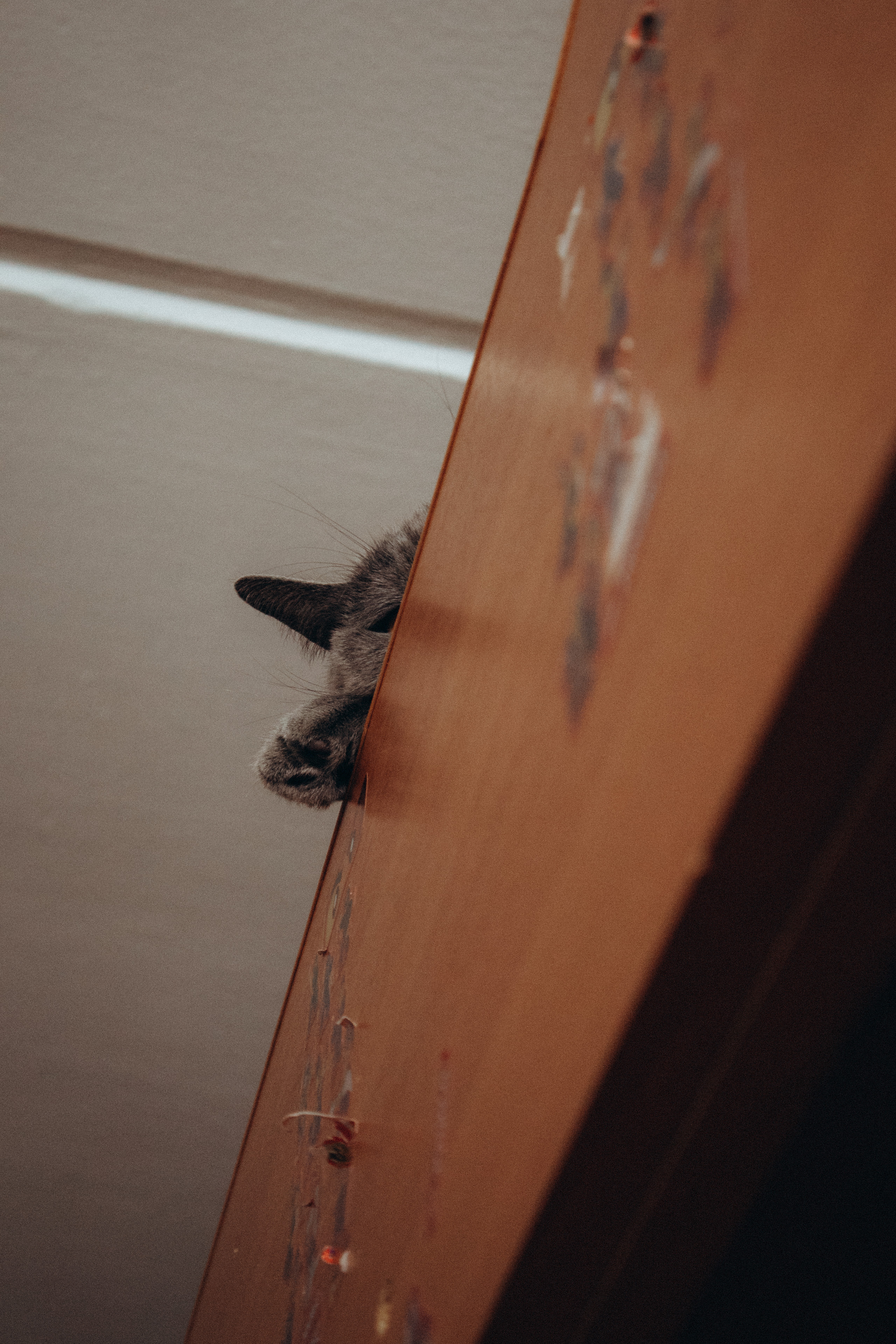 Мальчики такие мальчики. Фотограф Москва Алёна Суворова