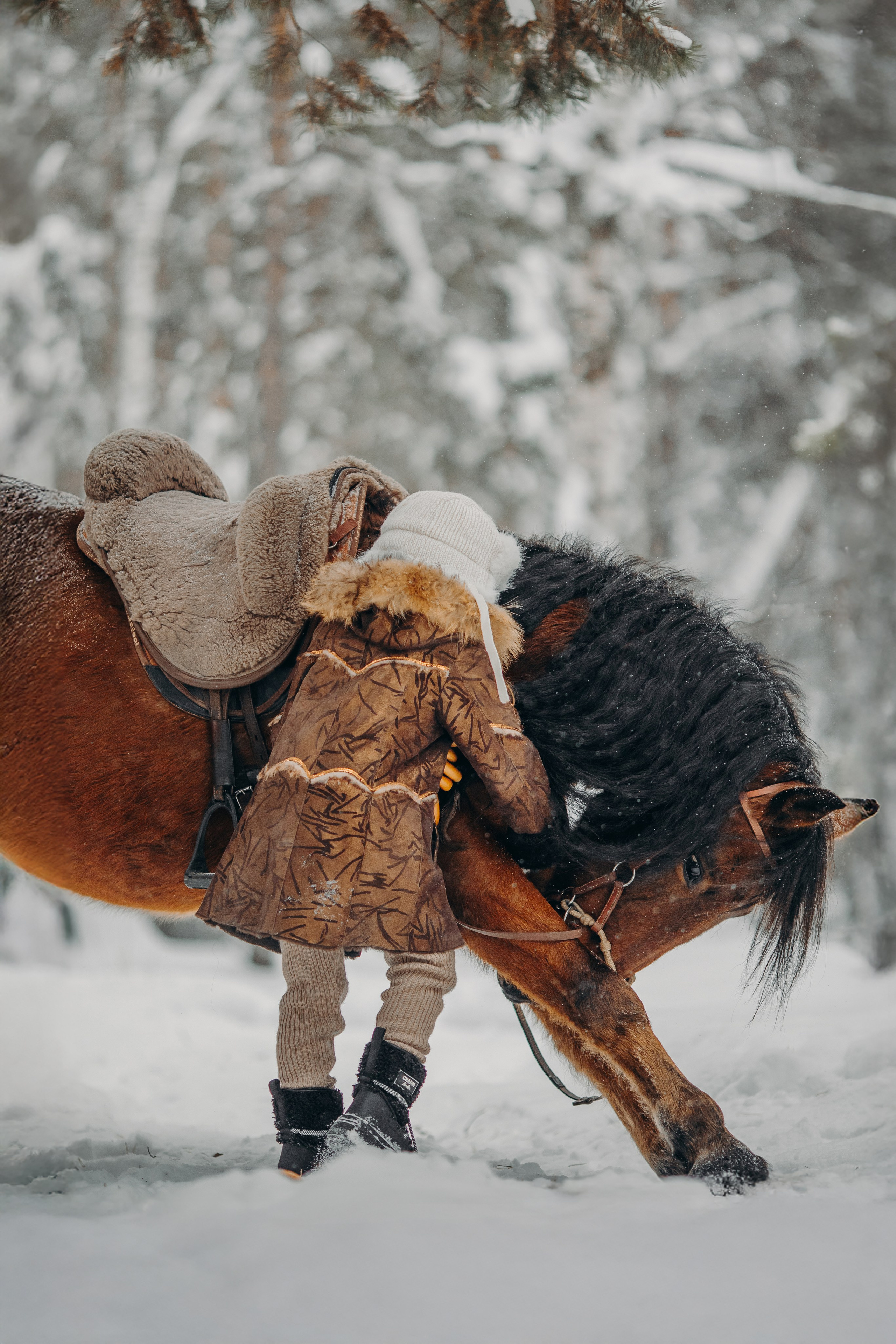 Тоша и баранки. Анна Молчанова конный фотограф в Тюмени | фотосессии с лошадьми Тюмень