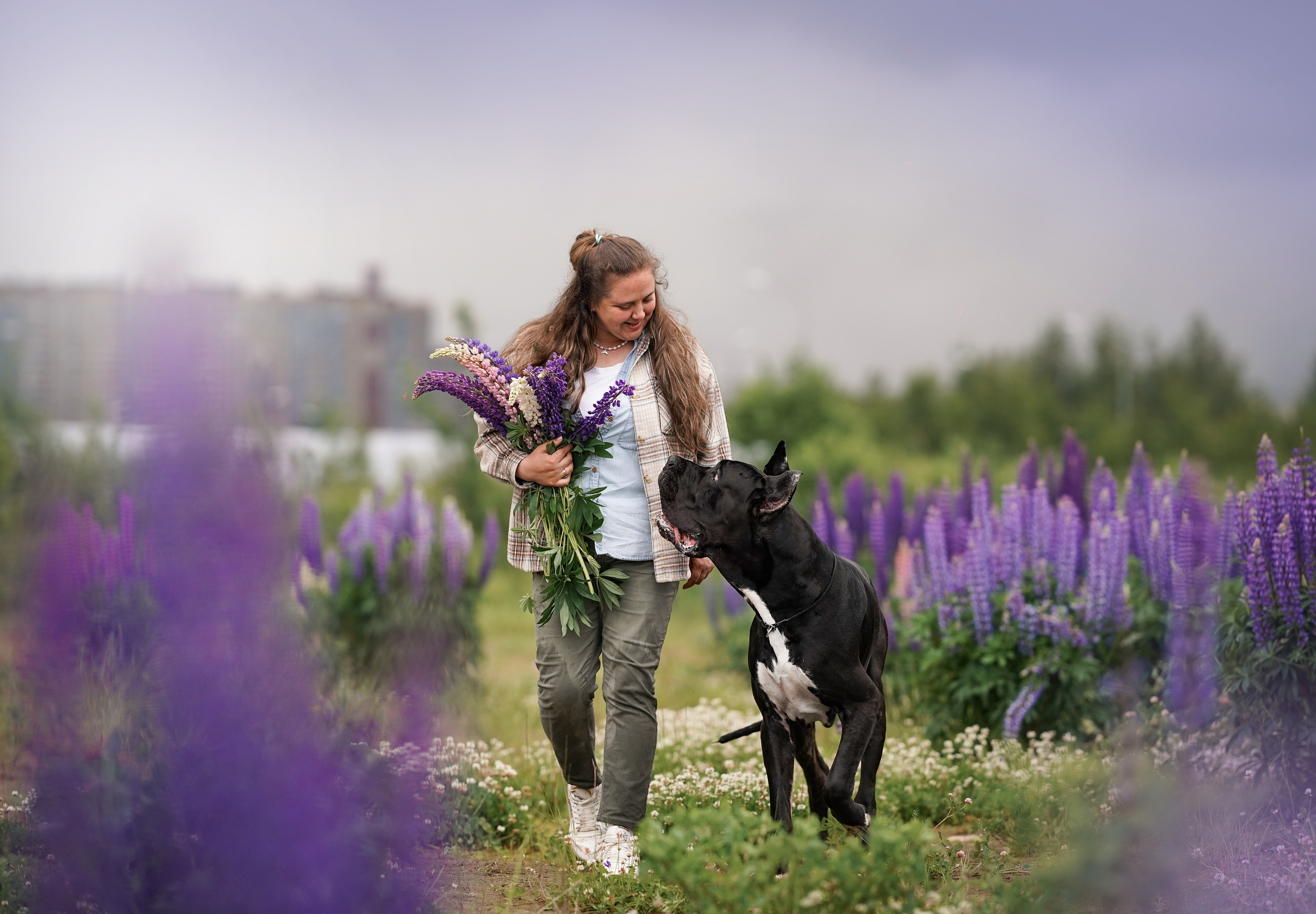 Вика и Трофей люпины. Фотограф-анималист в Санкт-Петербурге Яна Мартынова