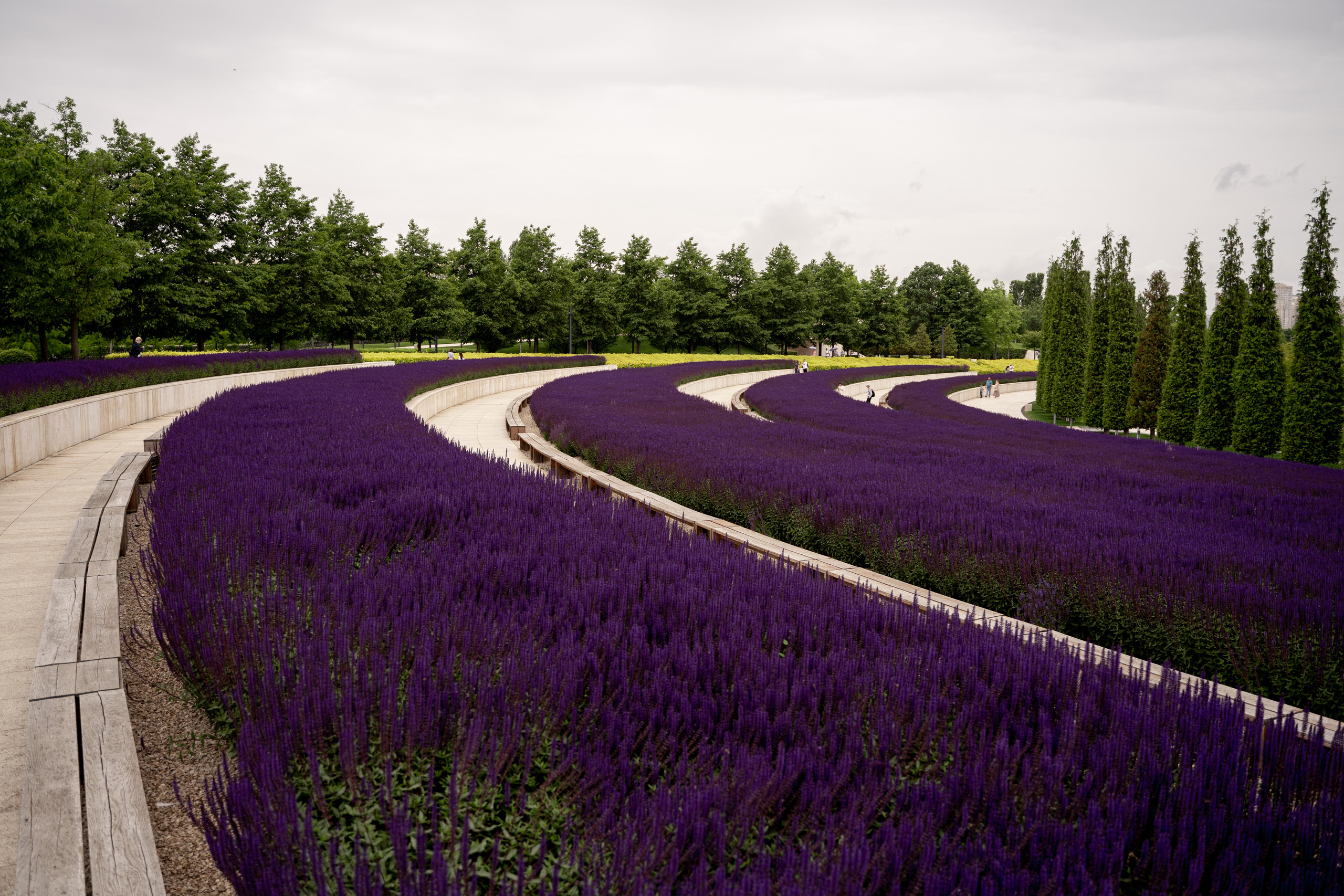 Все растения. Автомобильный фотограф Светлана Усова
