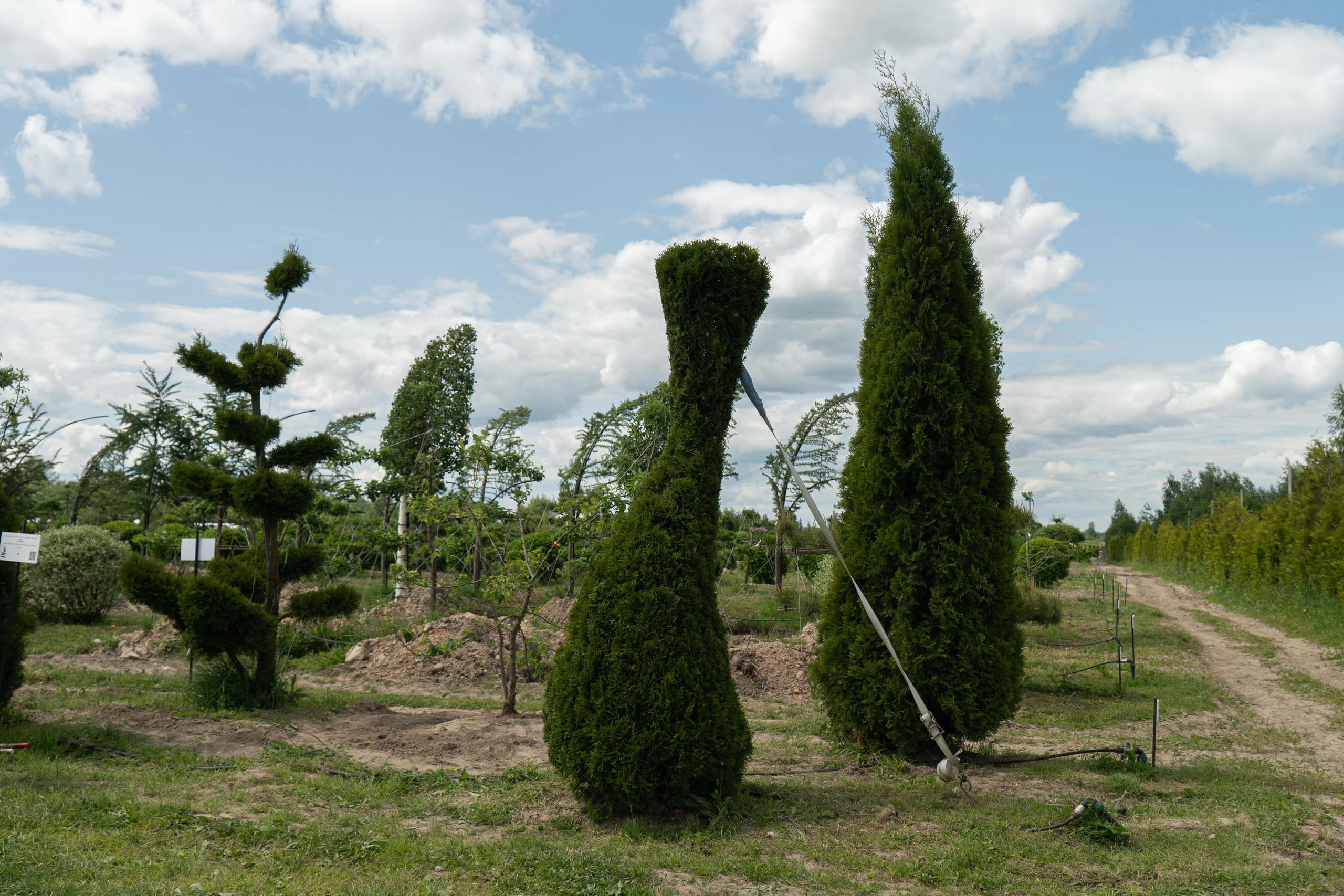 Мастер-класс «Ниваки». Автомобильный фотограф Светлана Усова