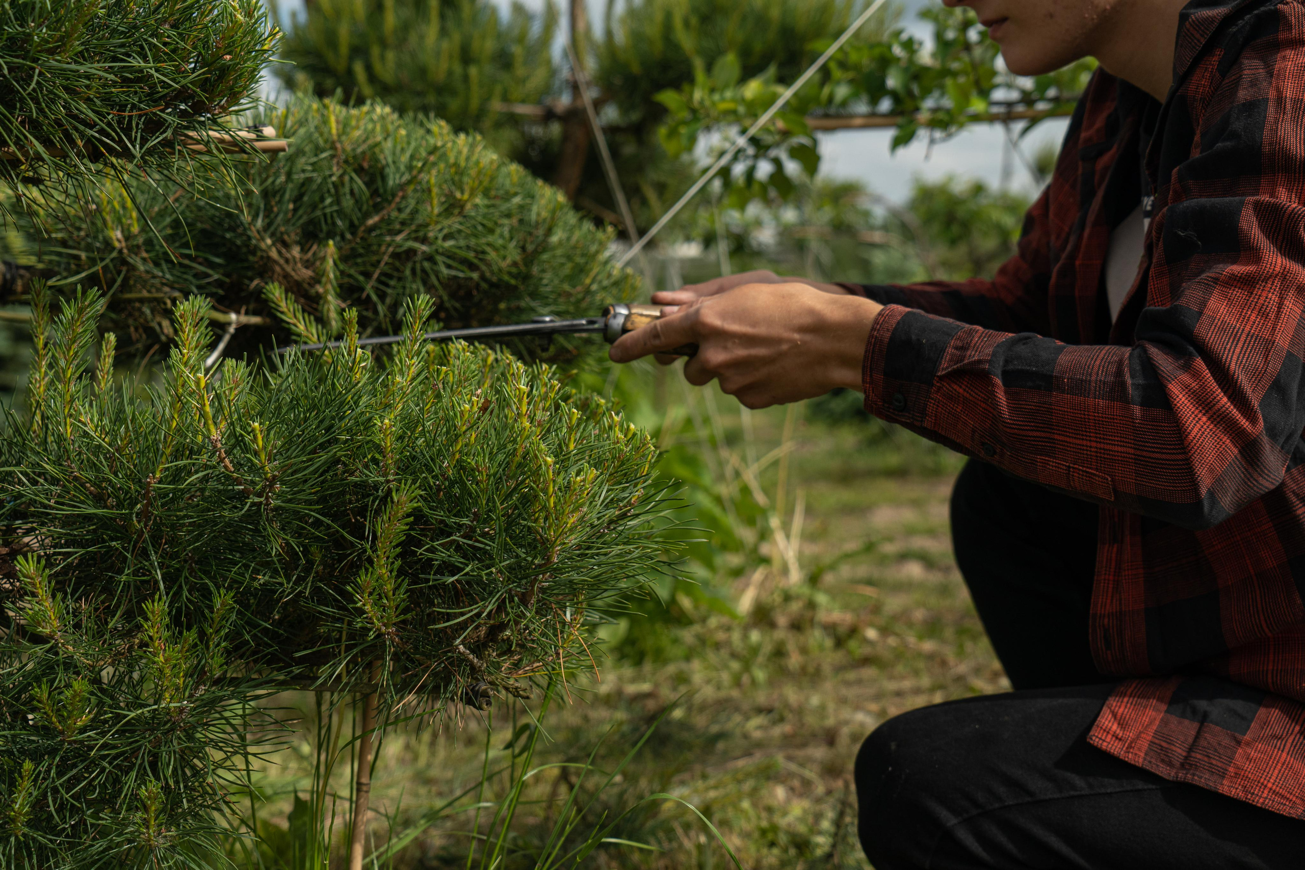 Мастер-класс «Ниваки». Автомобильный фотограф Светлана Усова
