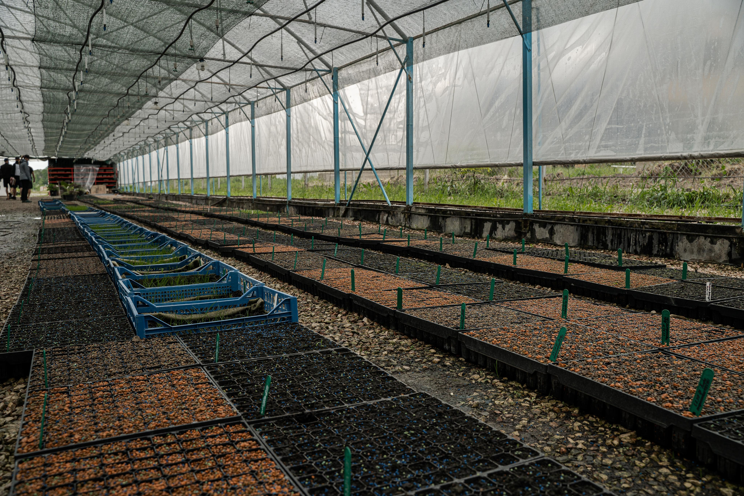 Питомники. Автомобильный фотограф Светлана Усова