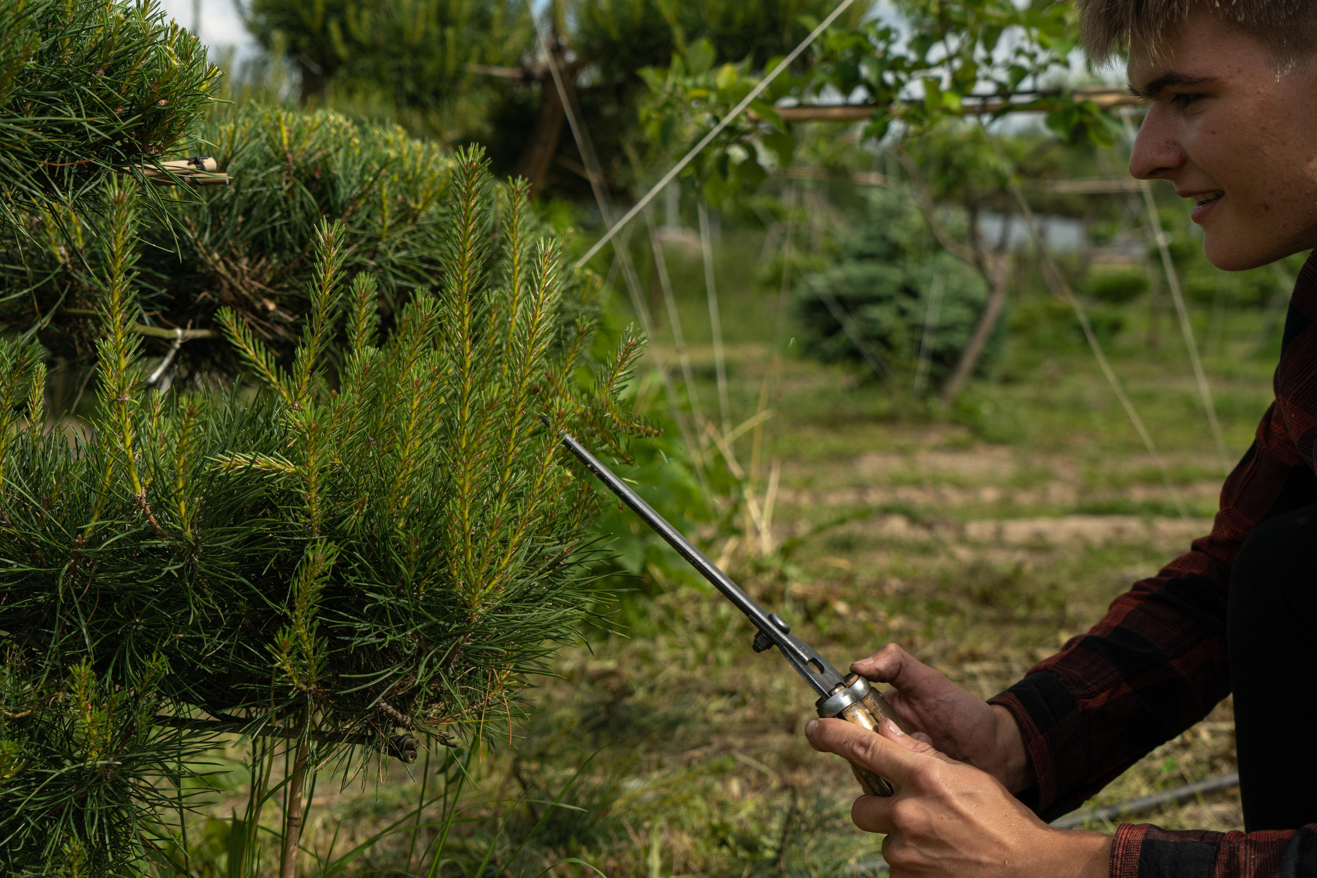 Мастер-класс «Ниваки». Автомобильный фотограф Светлана Усова