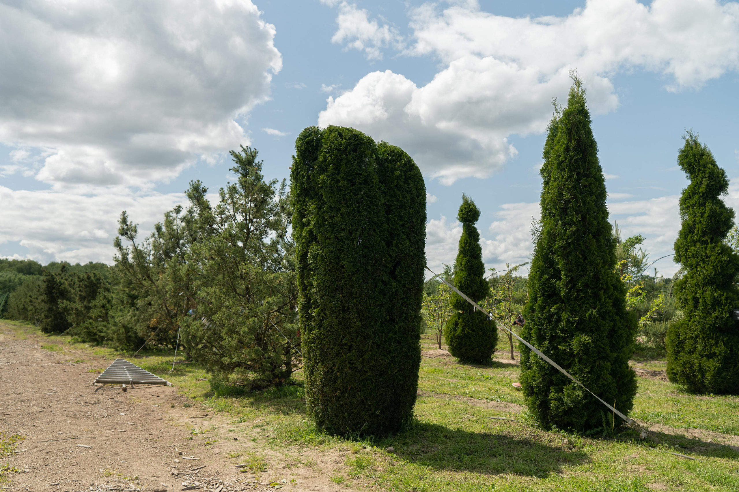 Мастер-класс «Ниваки». Автомобильный фотограф Светлана Усова