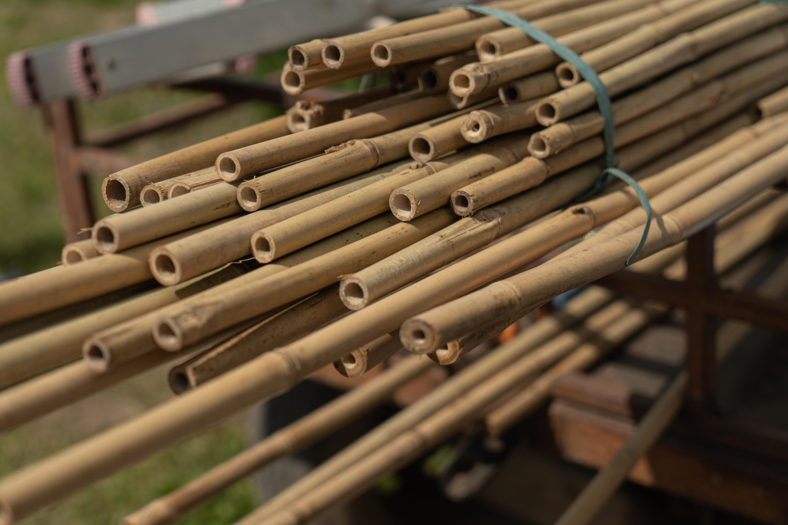 Мастер-класс «Ниваки». Автомобильный фотограф Светлана Усова