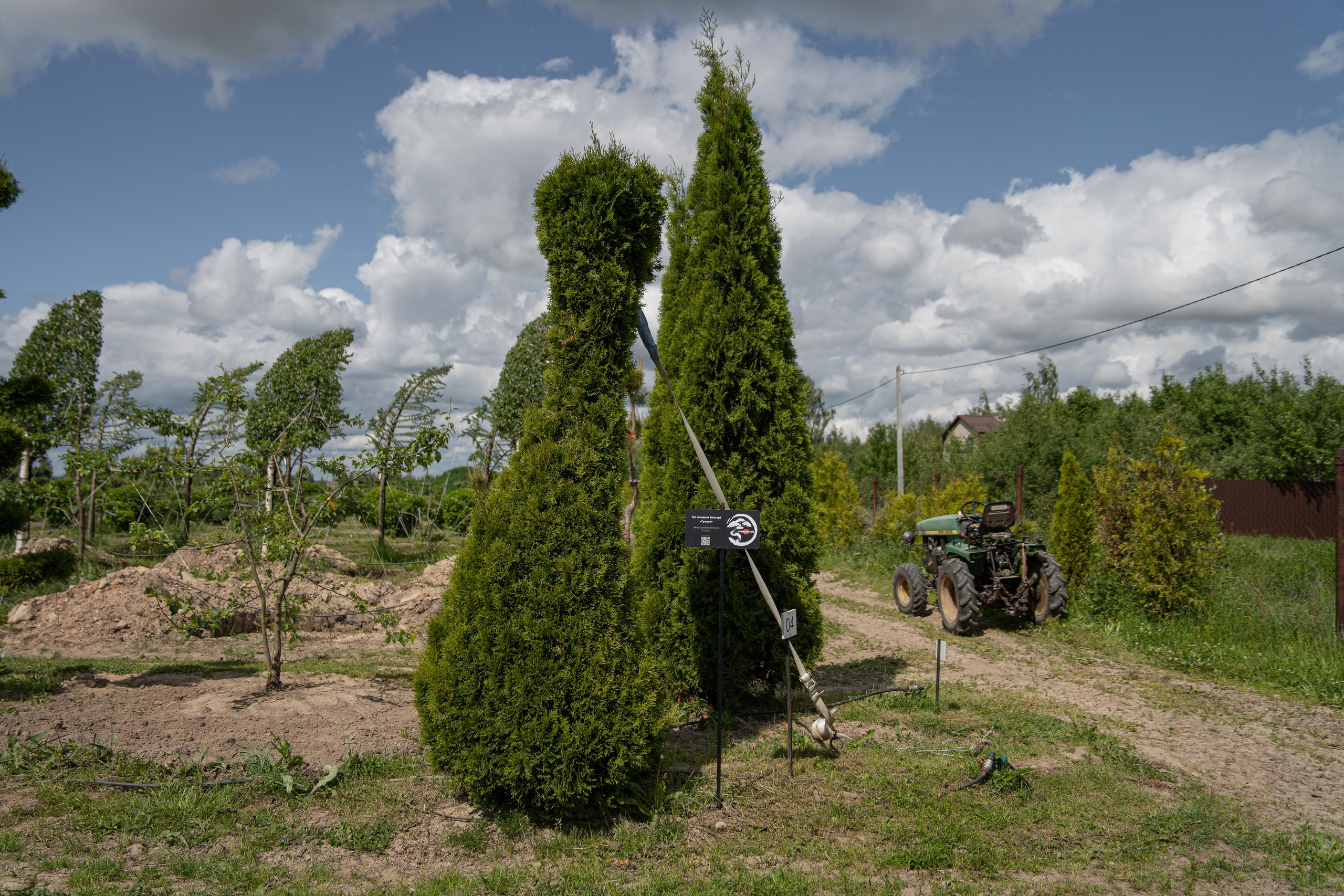 Мастер-класс «Ниваки». Автомобильный фотограф Светлана Усова