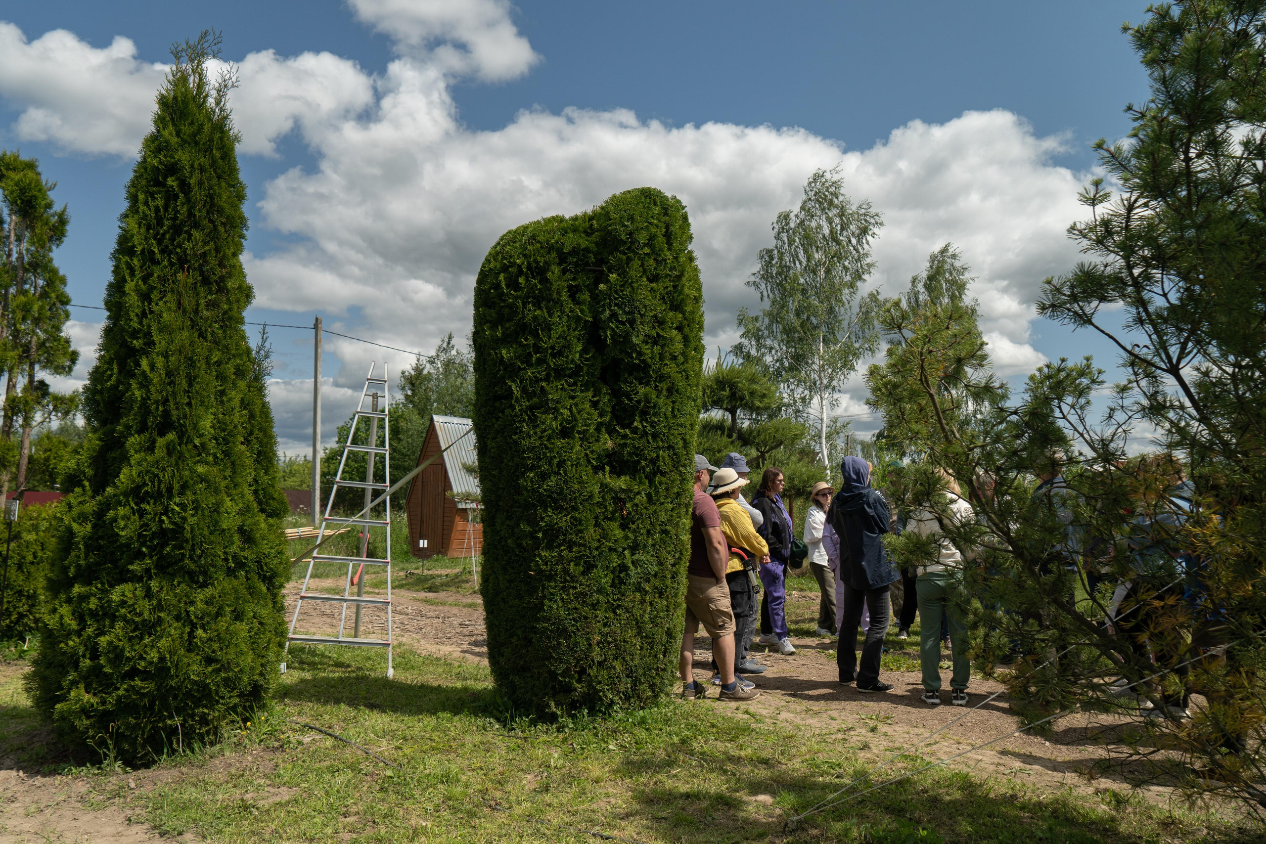 Мастер-класс «Ниваки». Автомобильный фотограф Светлана Усова