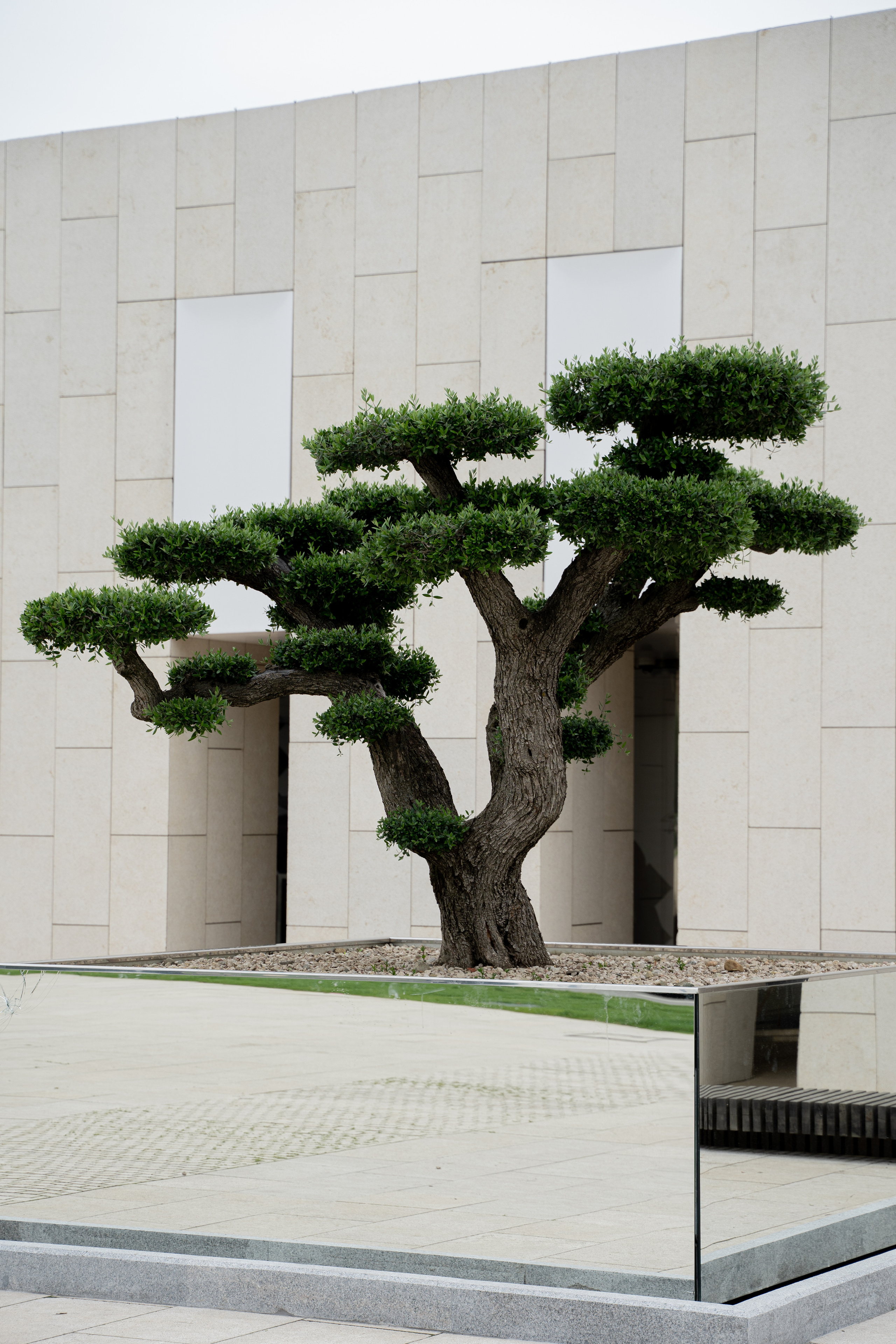 Все растения. Автомобильный фотограф Светлана Усова