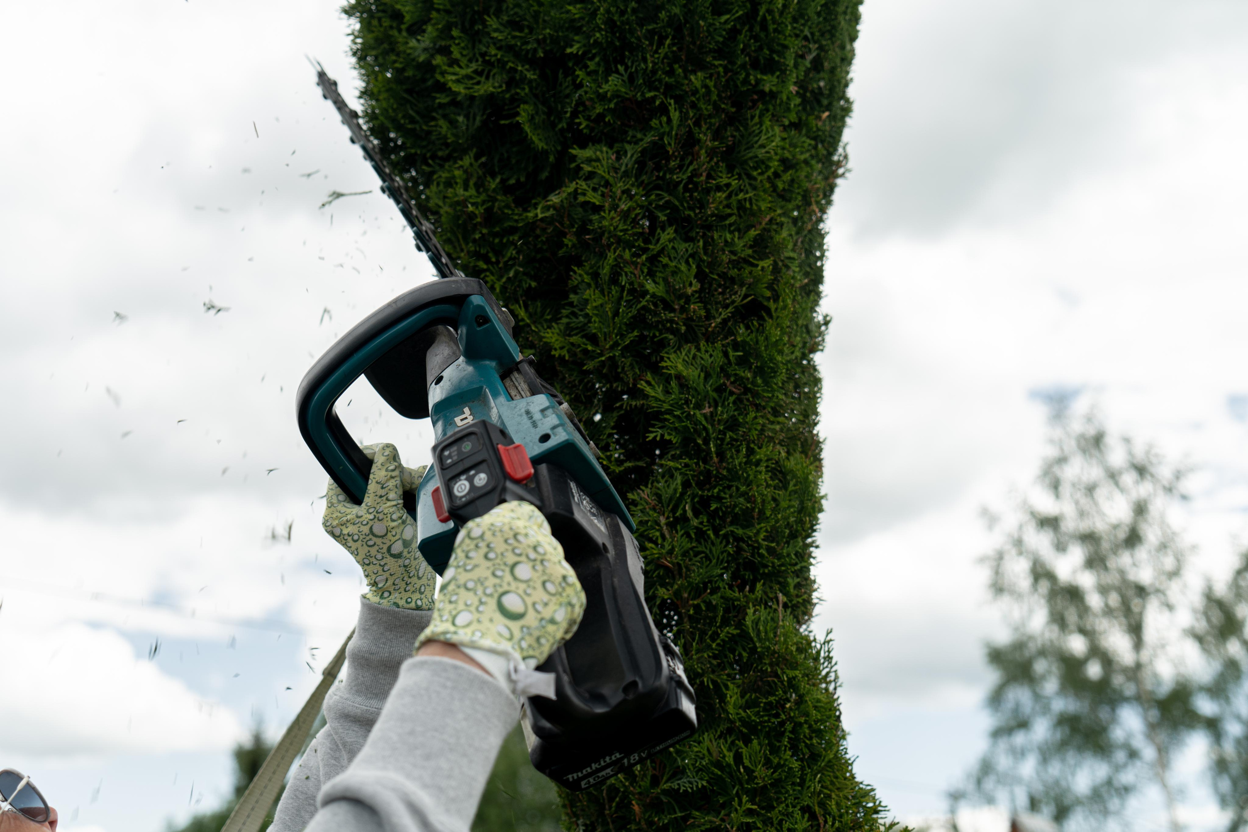 Мастер-класс «Ниваки». Автомобильный фотограф Светлана Усова