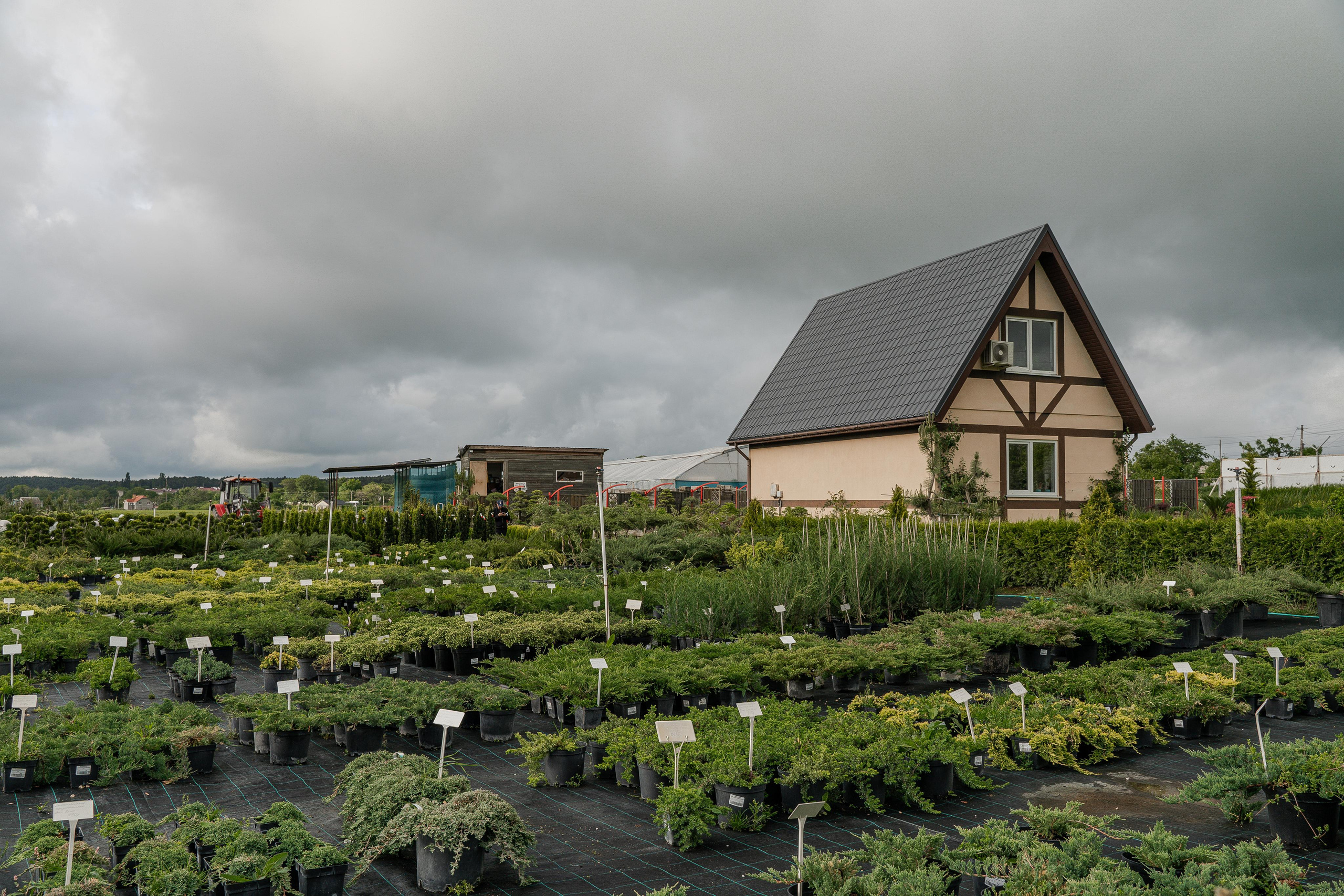 Питомники. Автомобильный фотограф Светлана Усова