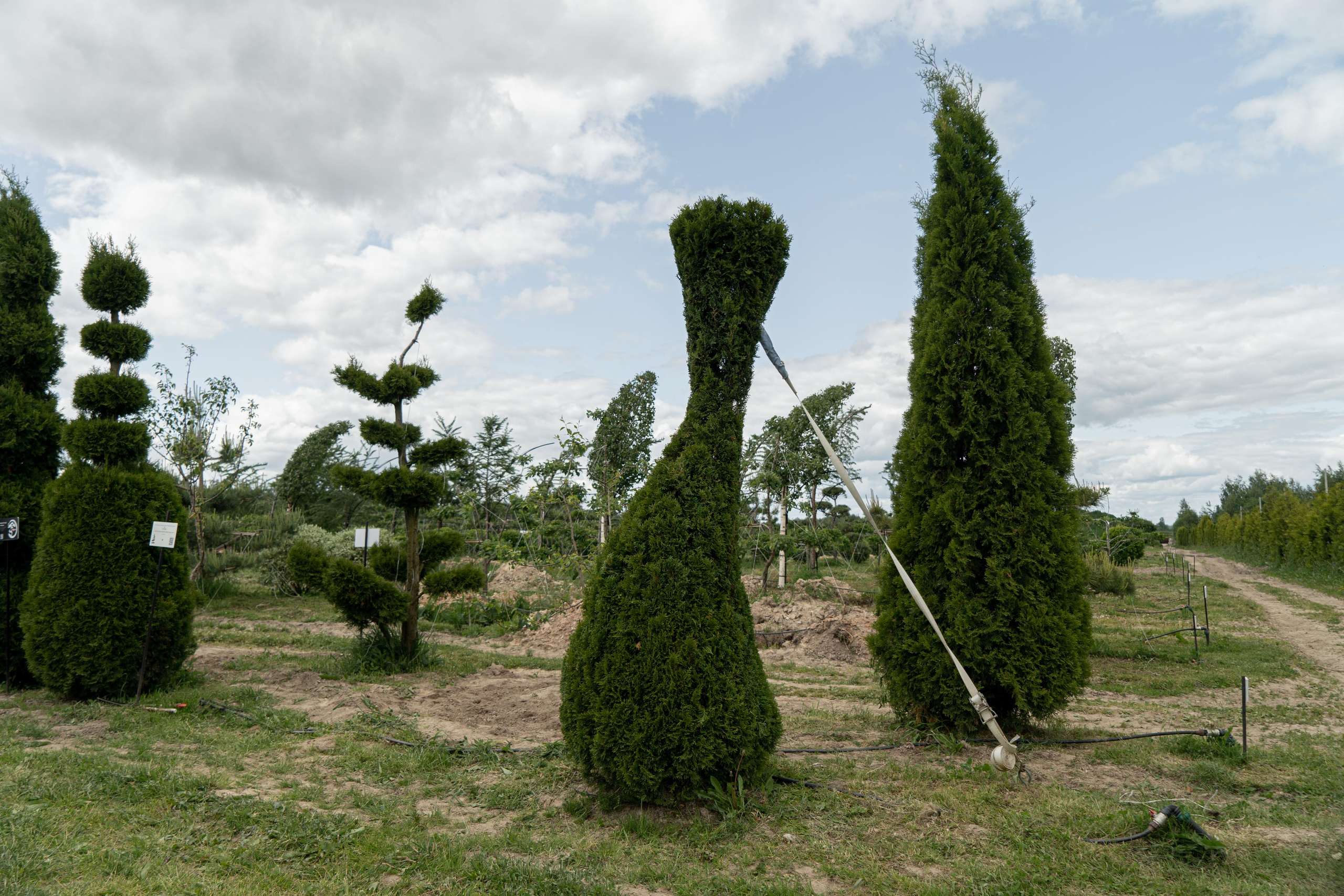 Мастер-класс «Ниваки». Автомобильный фотограф Светлана Усова