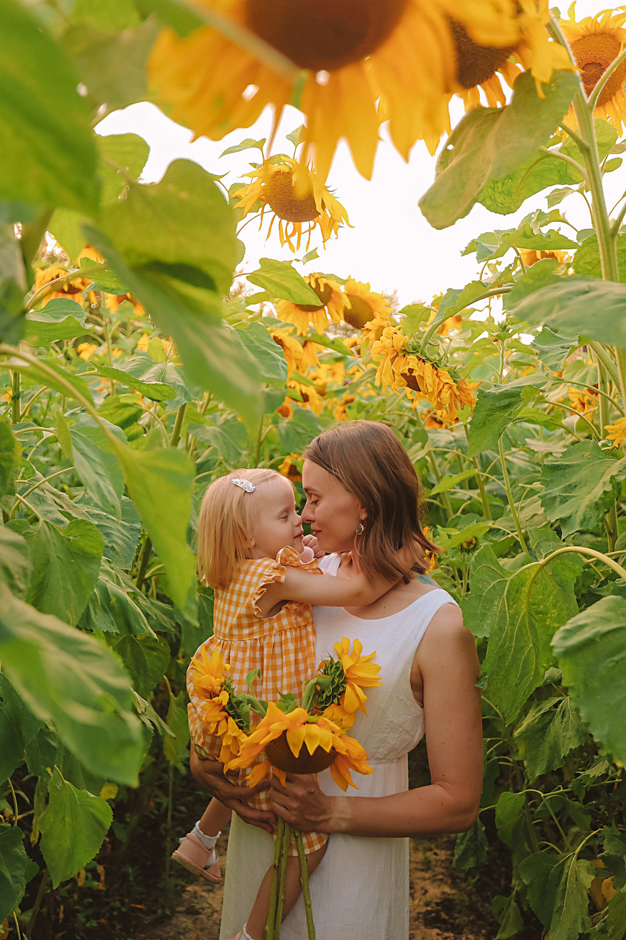Подсолнухи. Семейный фотограф Тюмень, фотограф на роды Салмина Мария