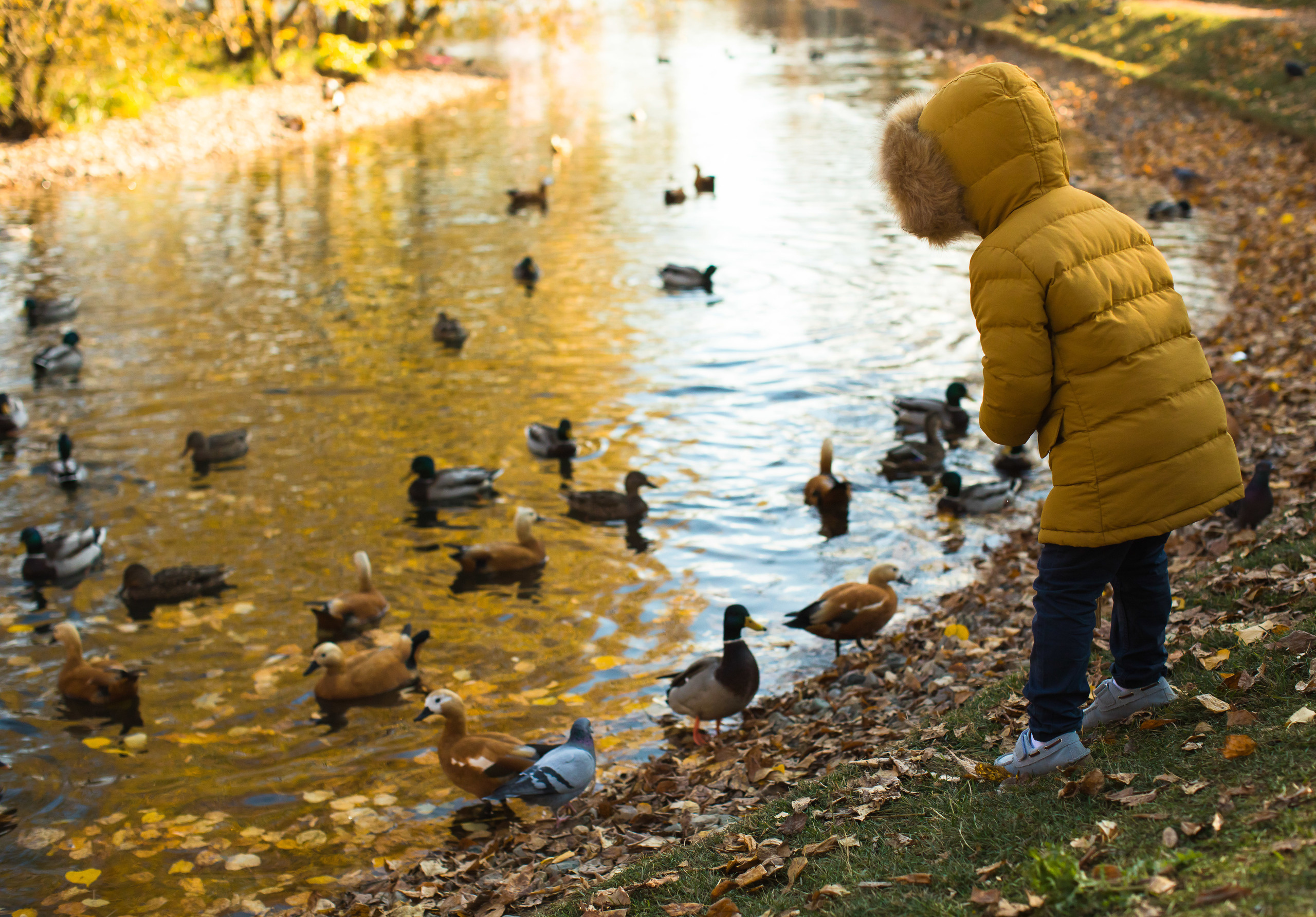 Съёмка многодетной семьи. Портретный и семейный фотограф Юлия Герман