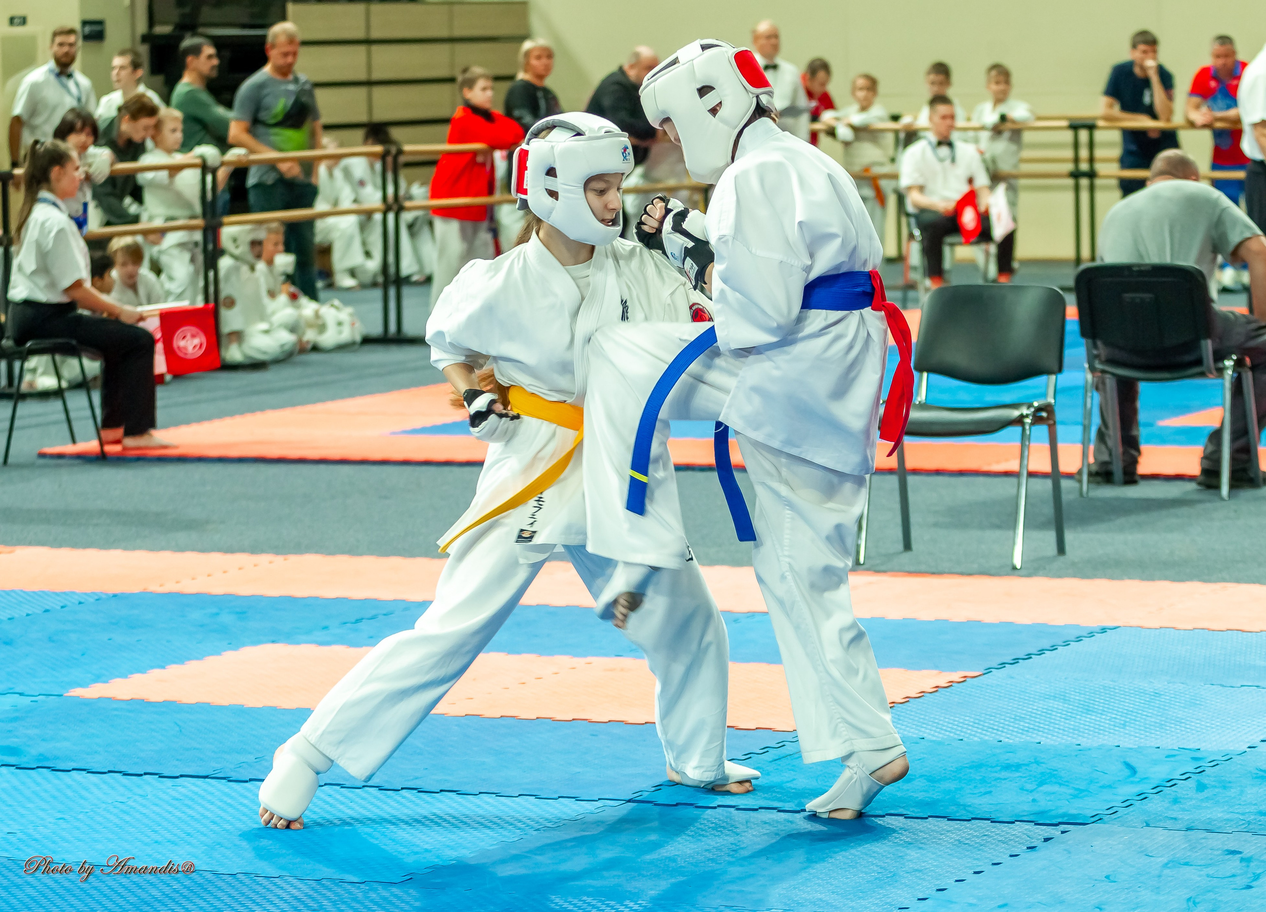 Первенство Московской области по Киокушин в СК «Жаворонки». Репортажная съемка в Москве и области. Анималистика