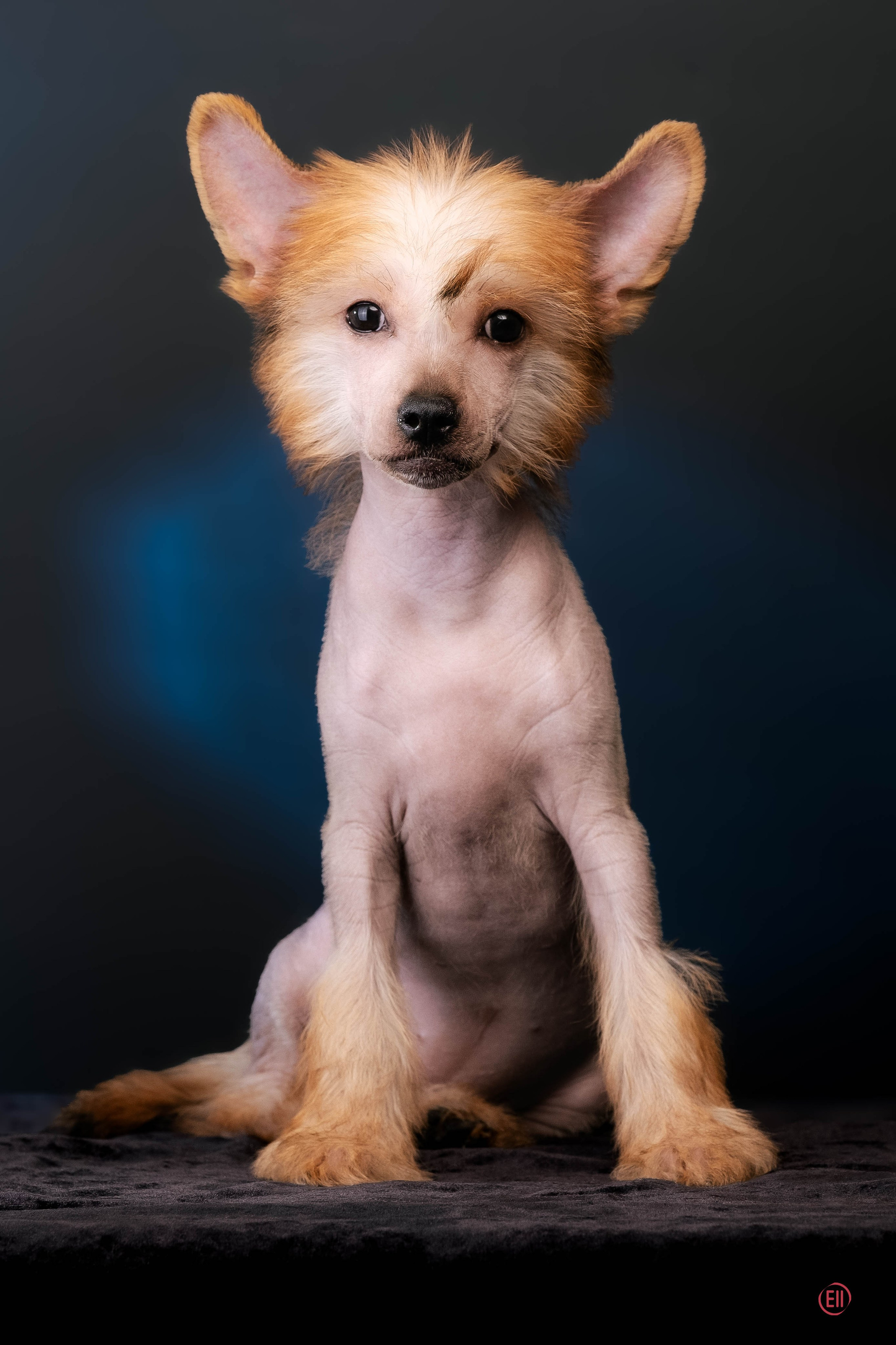 07.06.2025 Синяя фотосессия. Фотограф в Москве