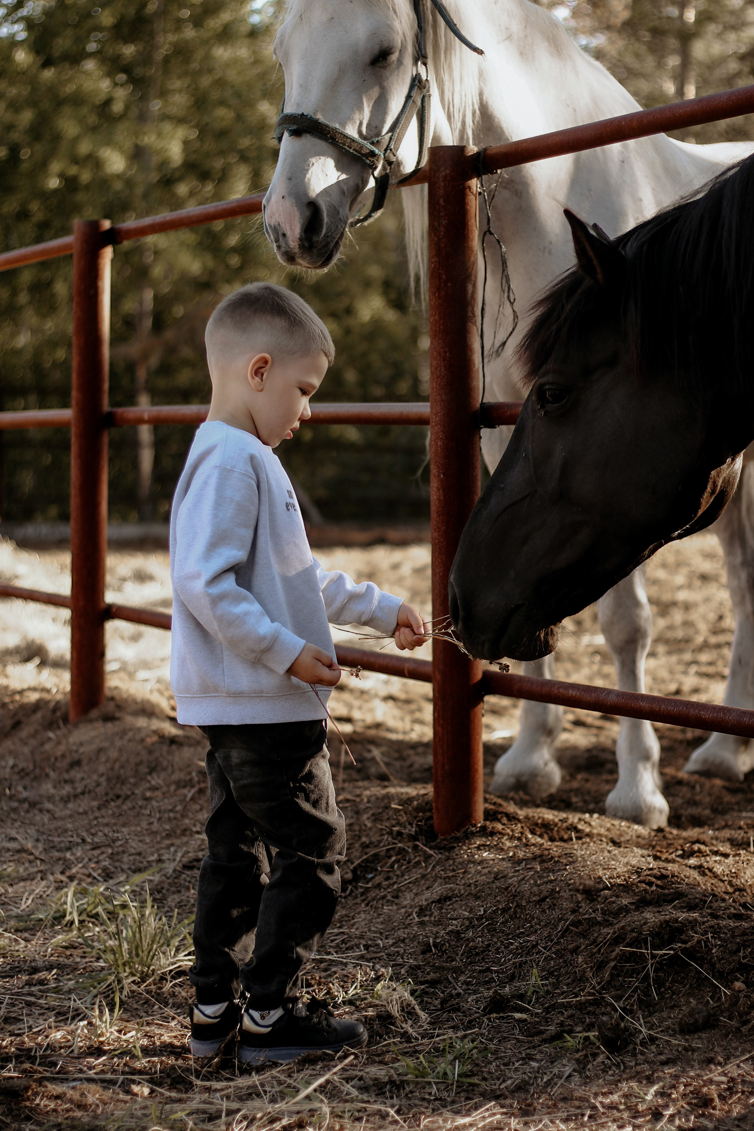 Семейный. Фотограф Иванова Елена в Иркутске