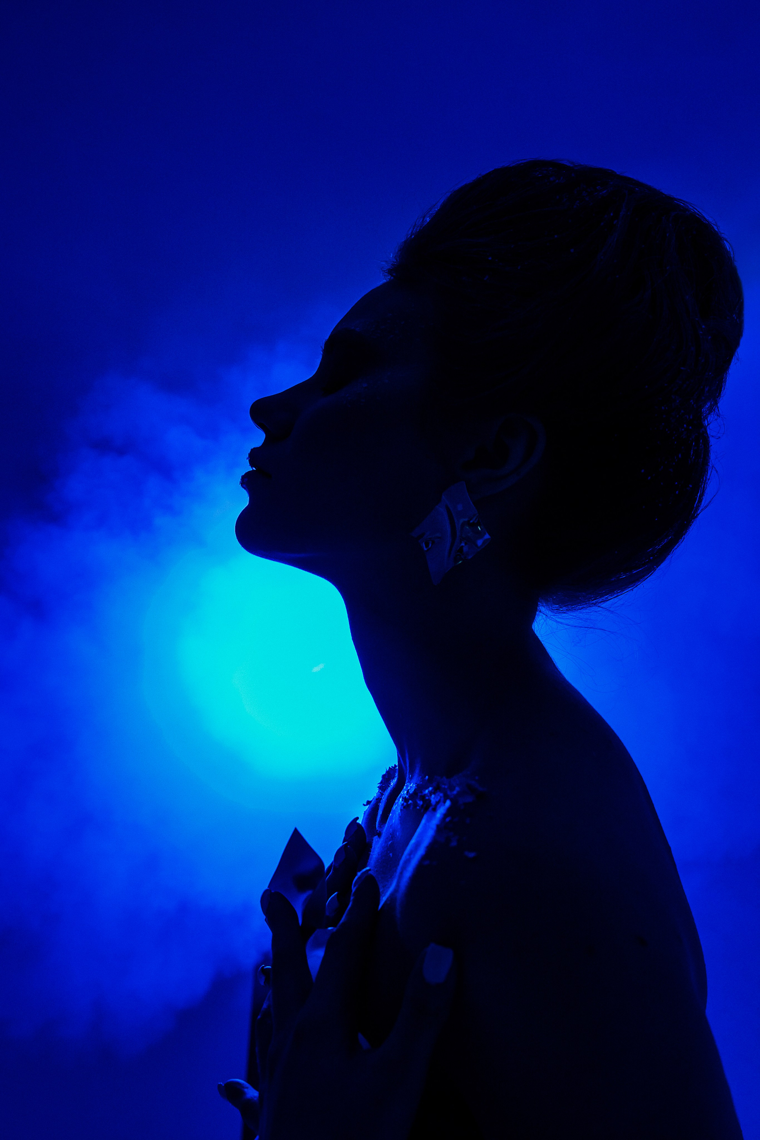 Образ зимы, воплощенный в плавных линиях.