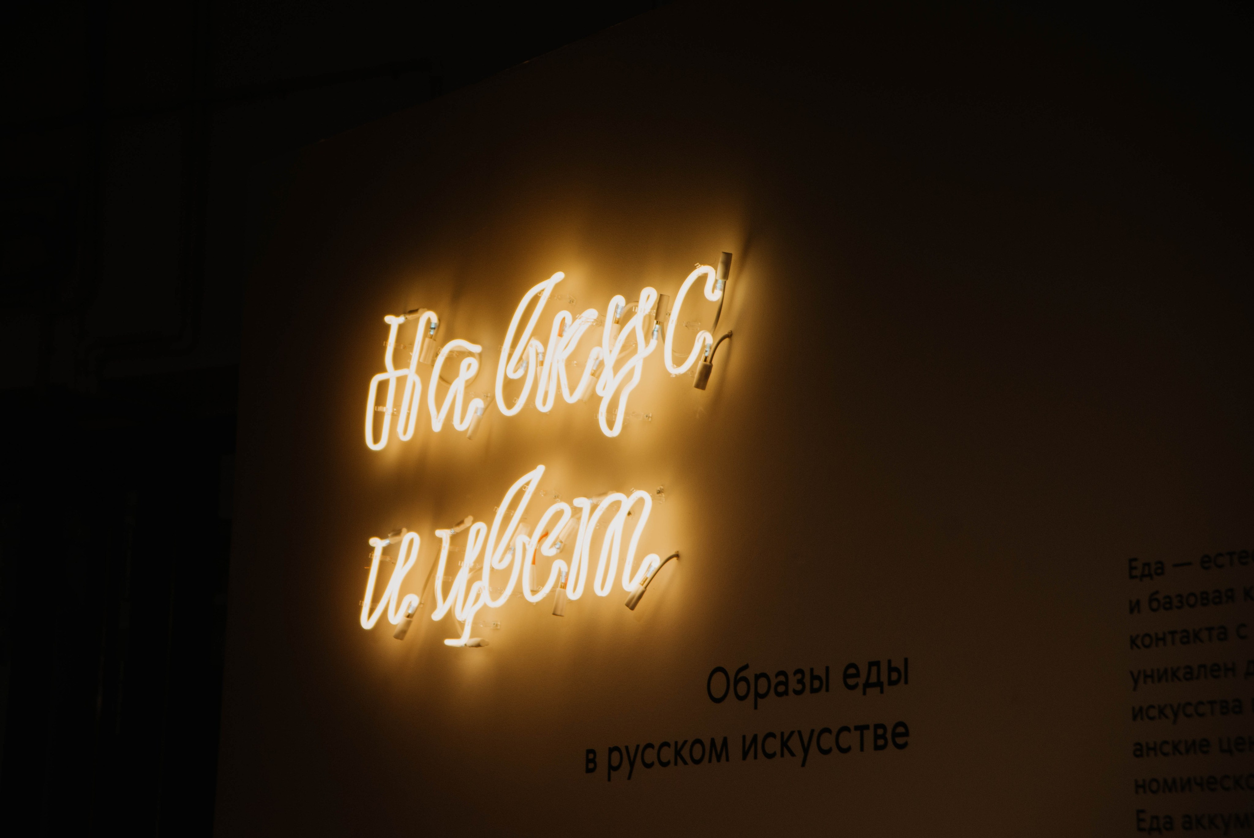 Открытие филиала Третьяковской галереи. Ксения Glossa. Портретный и репортажный фотограф в Самаре