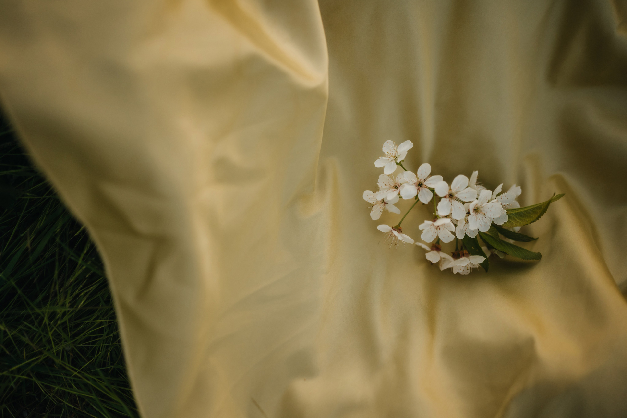 Разные виды съемок. Свадебный и семейный фотограф и видеограф, Крым, Москва, Санкт -Петербург