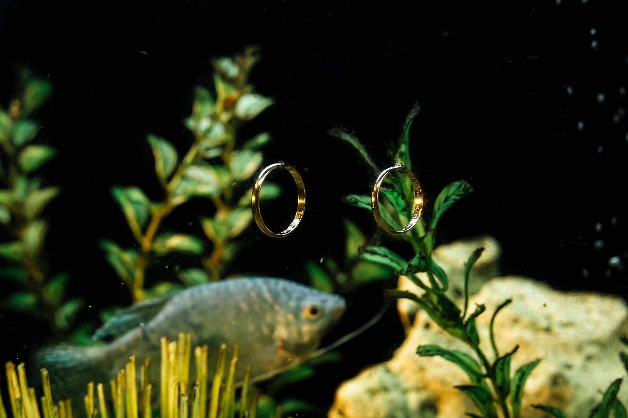 Виктор & Дарья