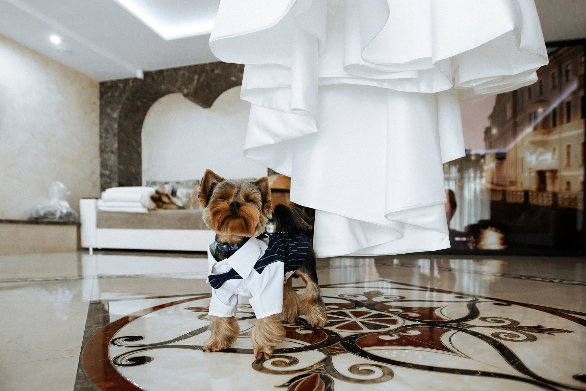 Виктор & Дарья. Свадебный фотограф Минск