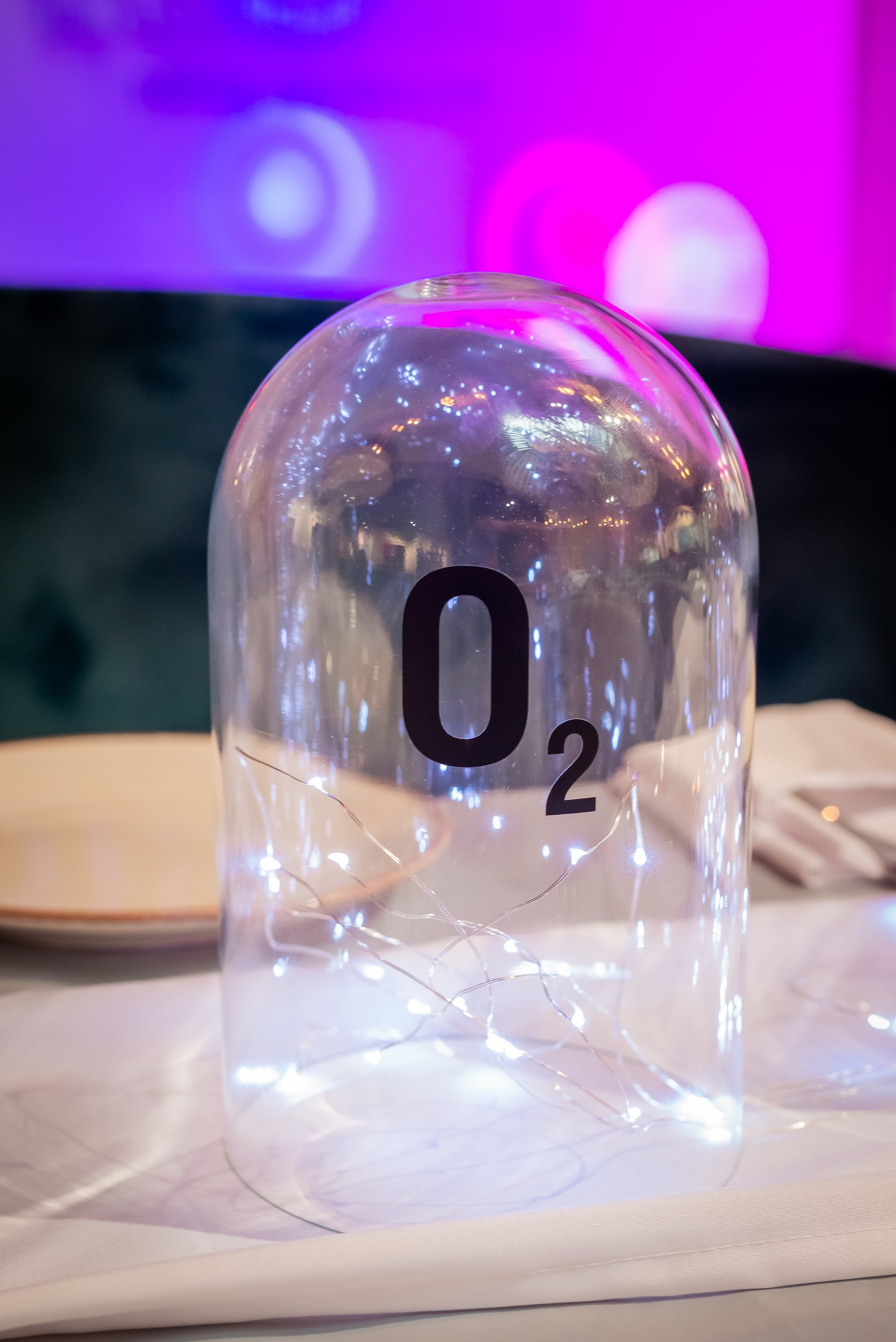 Наследники. Детский День Рождения. Фотограф Сергей Катаев