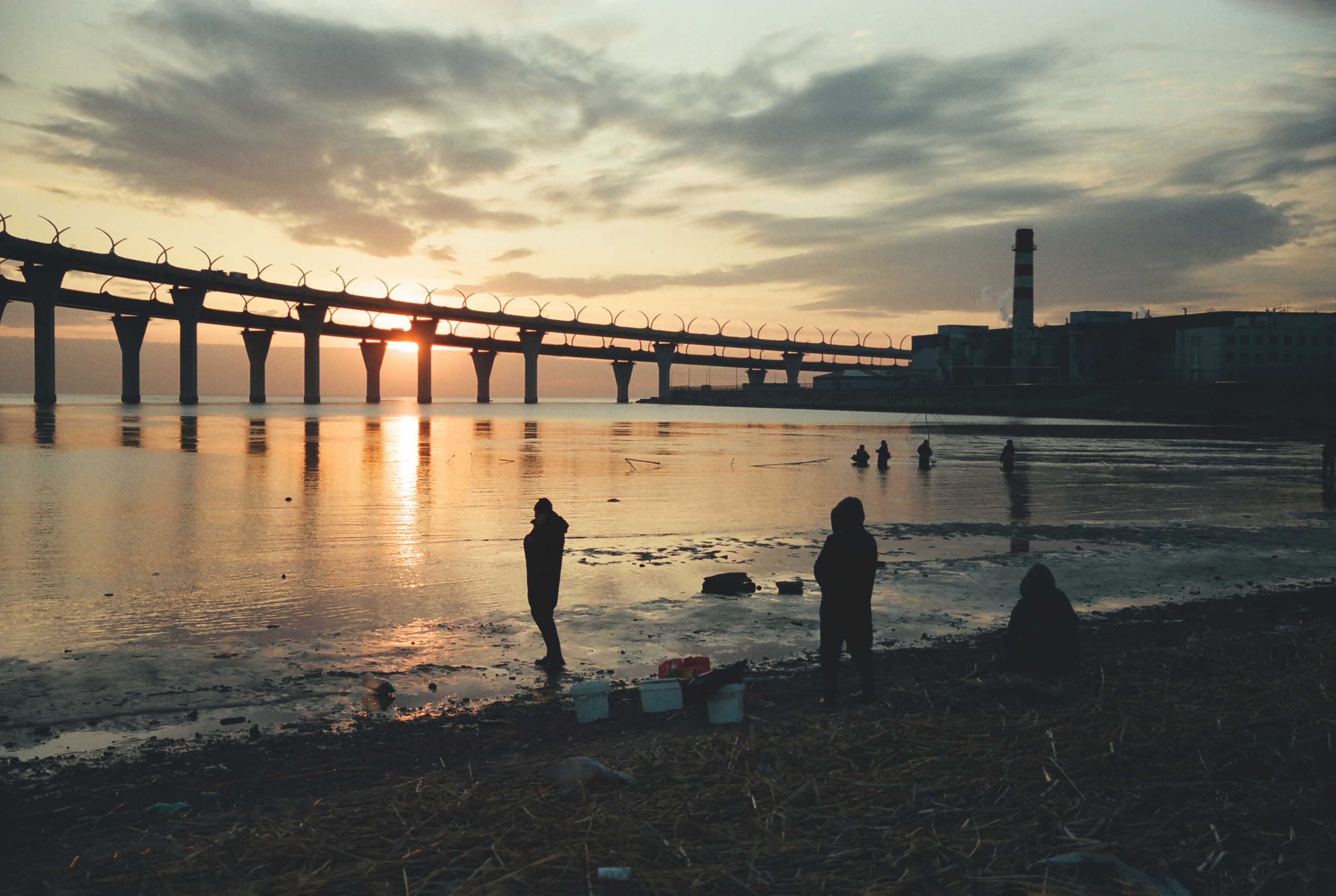 Фотографии цветные. Свадебный и семейный пленочный фотограф в Петербурге Истомина Ирина