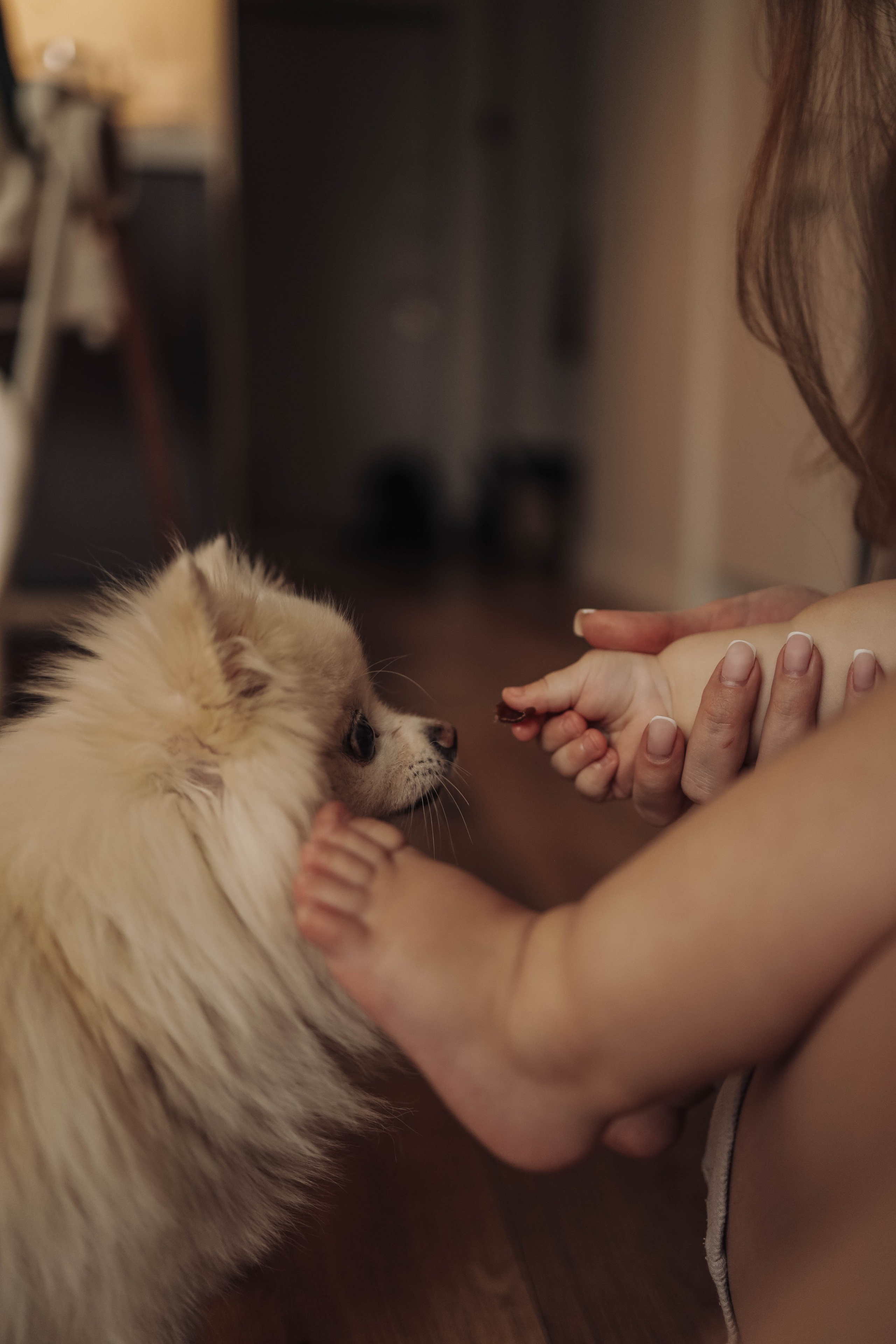 О семейном счатье. Марина Мужиченкова. Семейная и детская фотосъёмка в Москве