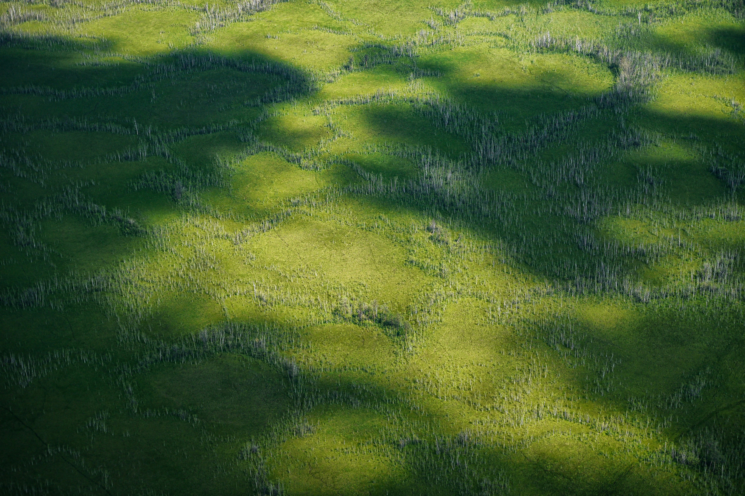 ДОКУМЕНТАЛЬНАЯ \ ФОТОЖУРНАЛИСТИКА. Документальный и коммерческий фотограф Влад Некрасов